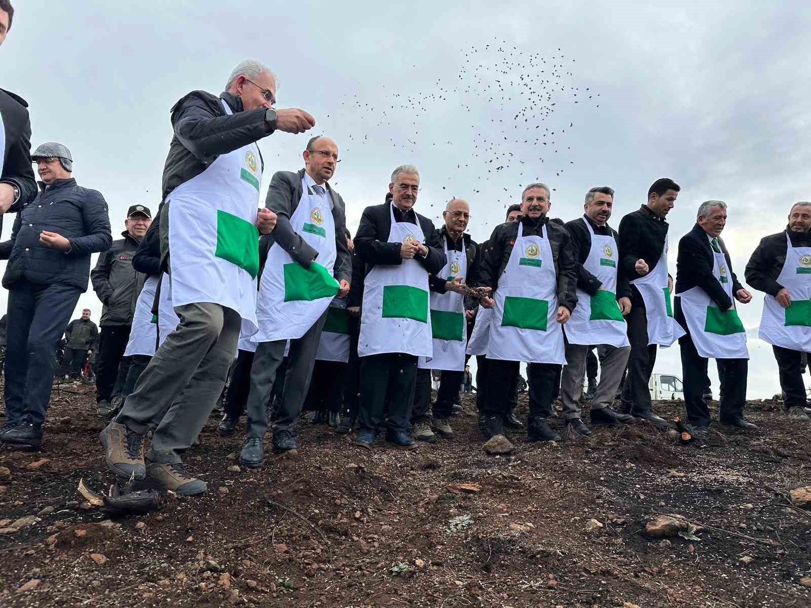 Harmancık’ta yanan 4 bin 256 hektar alan ağaçlandırılıyor
