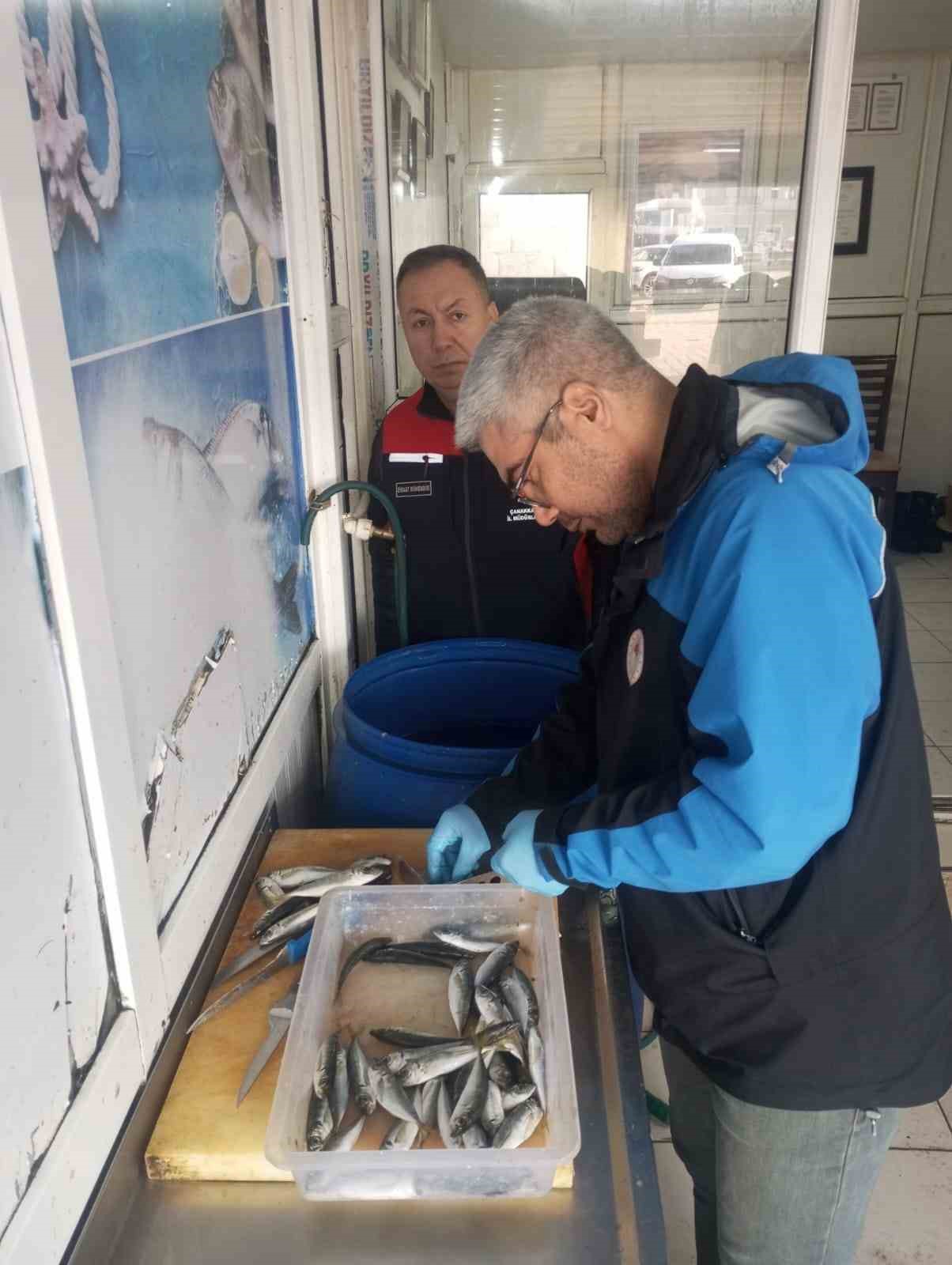 Gelibolu’da 45 kilo balığa el konuldu, 37 bin 770 lira para cezası kesildi
