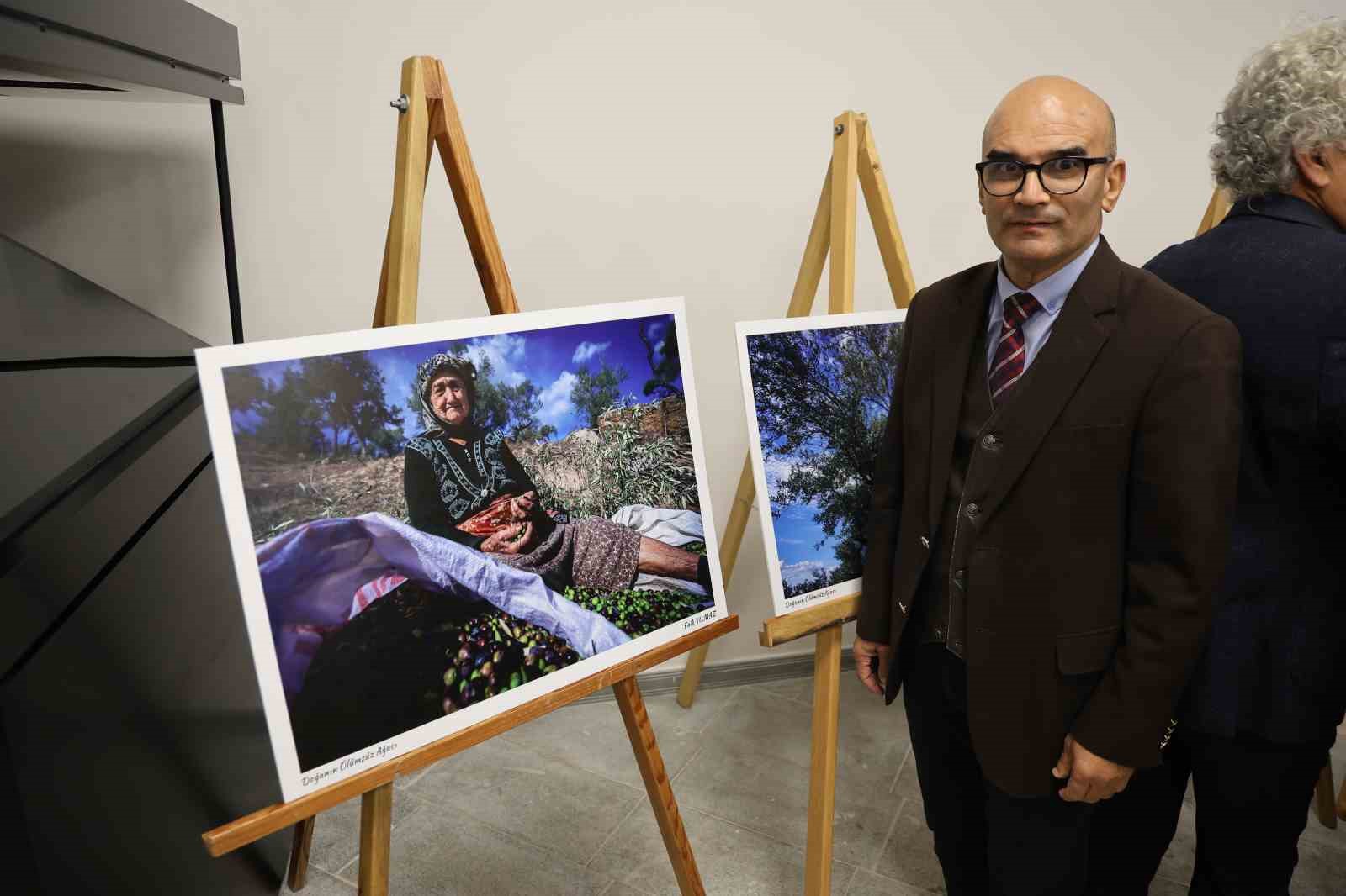 Stratonikeia’da ilk ‘Zeytin Hasat Festivali’ düzenlendi
