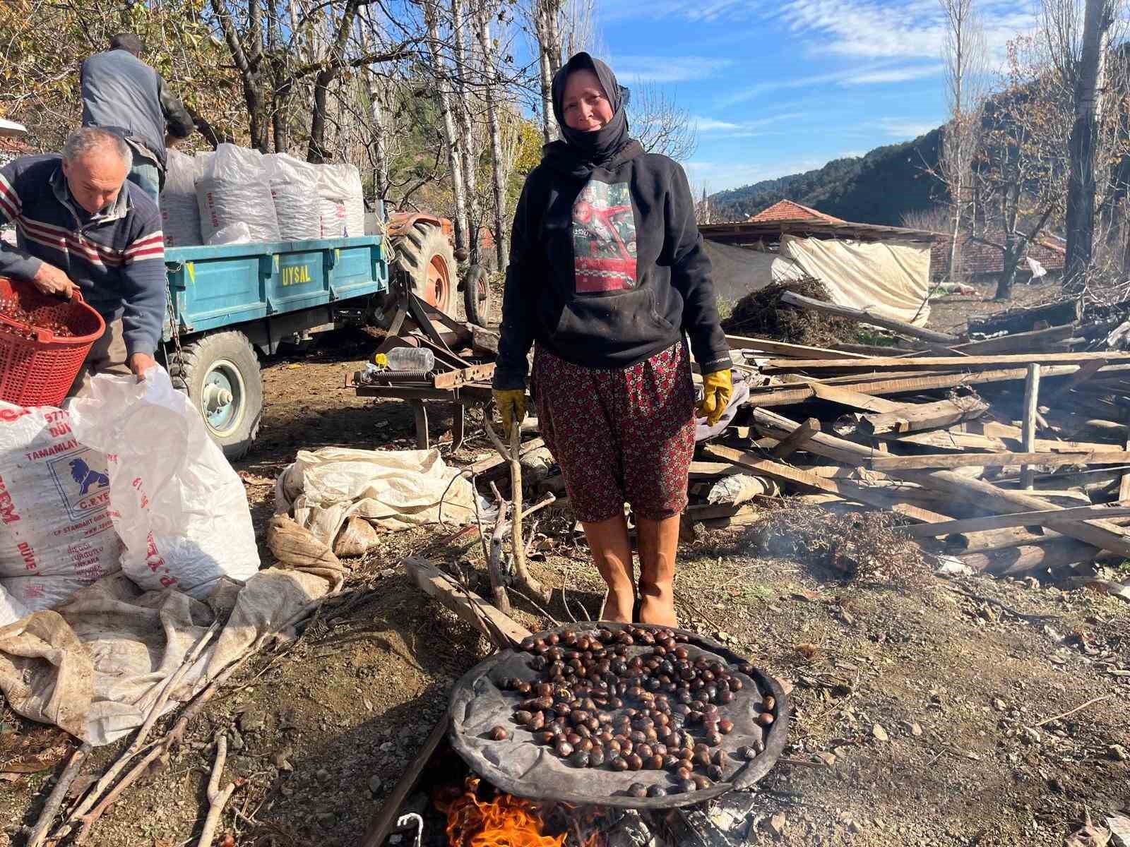 Dikenlerinden kurtulan kestanelerin sofralara yolculuğu başladı
