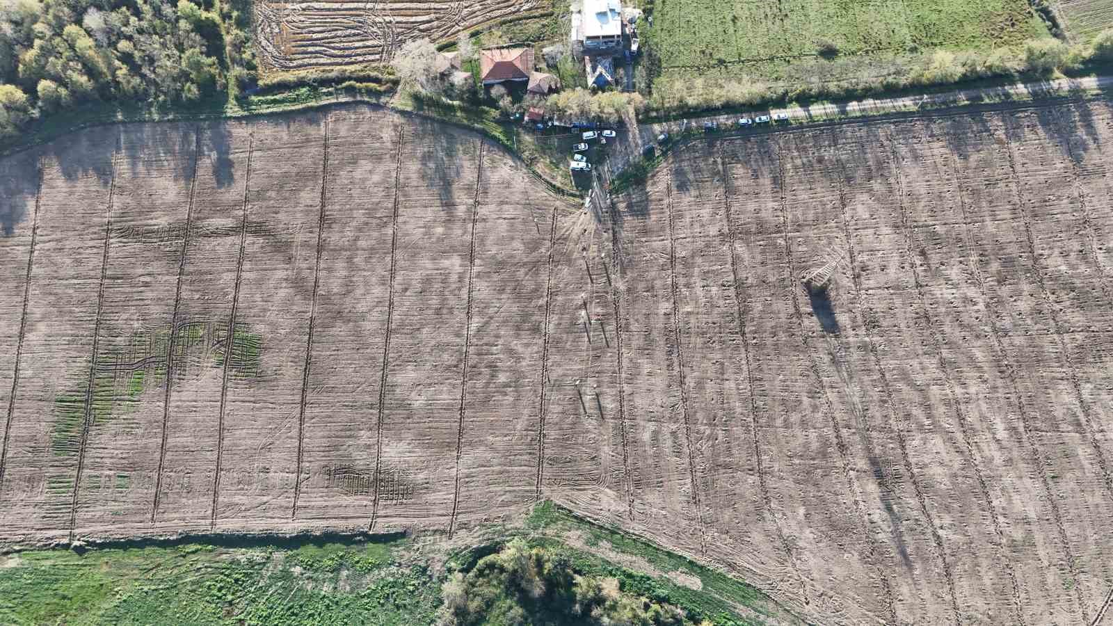 Karadeniz’in en büyük incir projesi: 50 milyon TL gelir kız çocuklarına verilecek