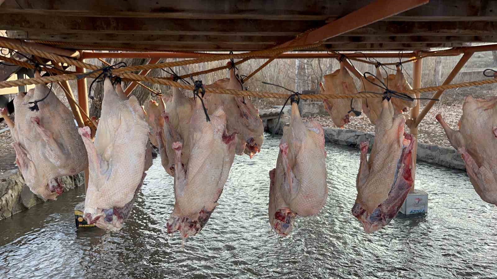 Kars kazı geleneksel yöntemlerle kurutuluyor: Kış sofralarının vazgeçilmezi hazırlanıyor