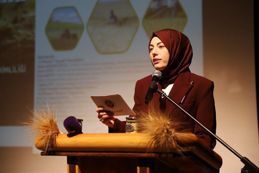 Bölgenin değeri: Ardahan Kavılcası