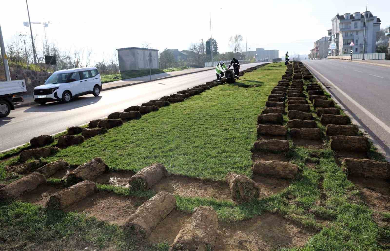Tramvay çalışmasında sökülen ağaçlar yeni yerlerinde hayat bulacak