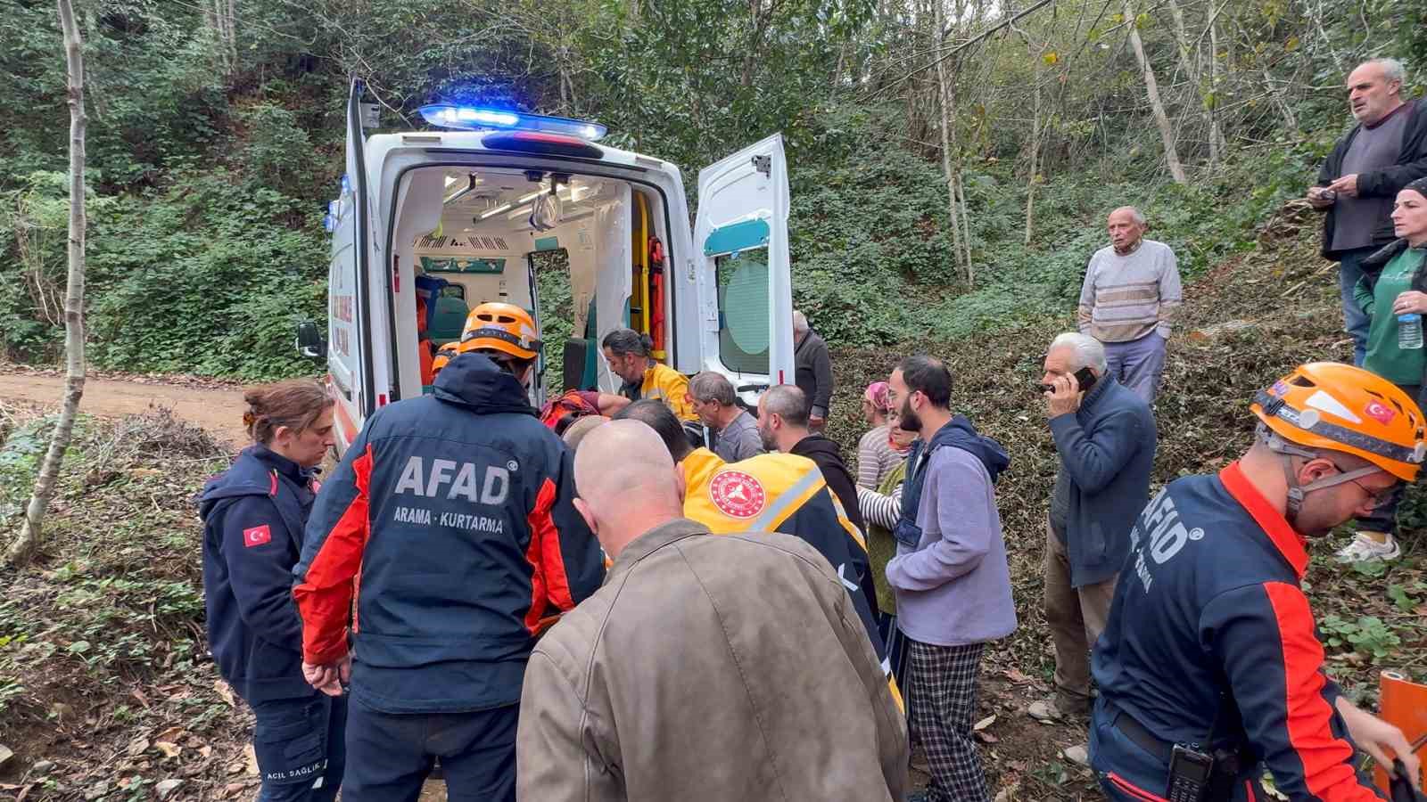 Kestiği ağacın çarptığı vatandaş uçuruma yuvarlandı