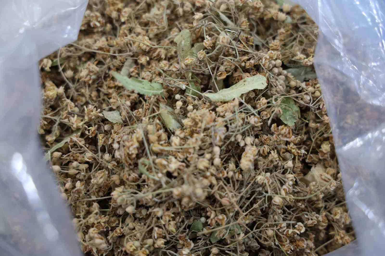 Soğuk havalarda bitki çayına ilgi yoğun
