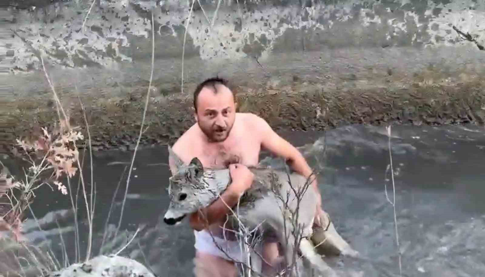 Kütahya’da su kanalına düşen karaca kurtarıldı