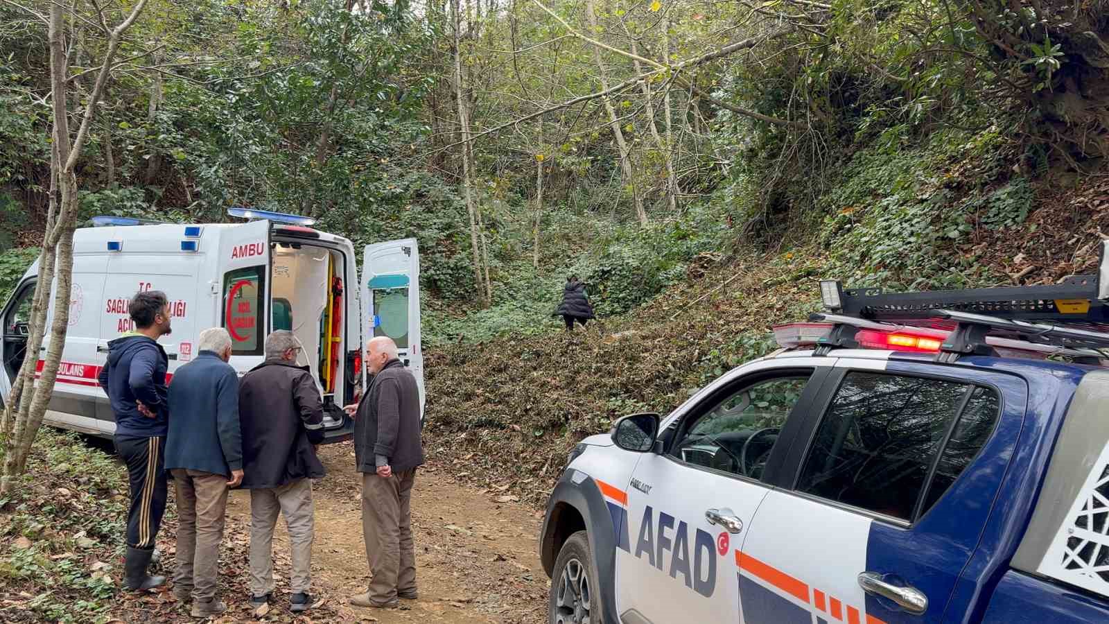 Kestiği ağacın çarptığı vatandaş uçuruma yuvarlandı