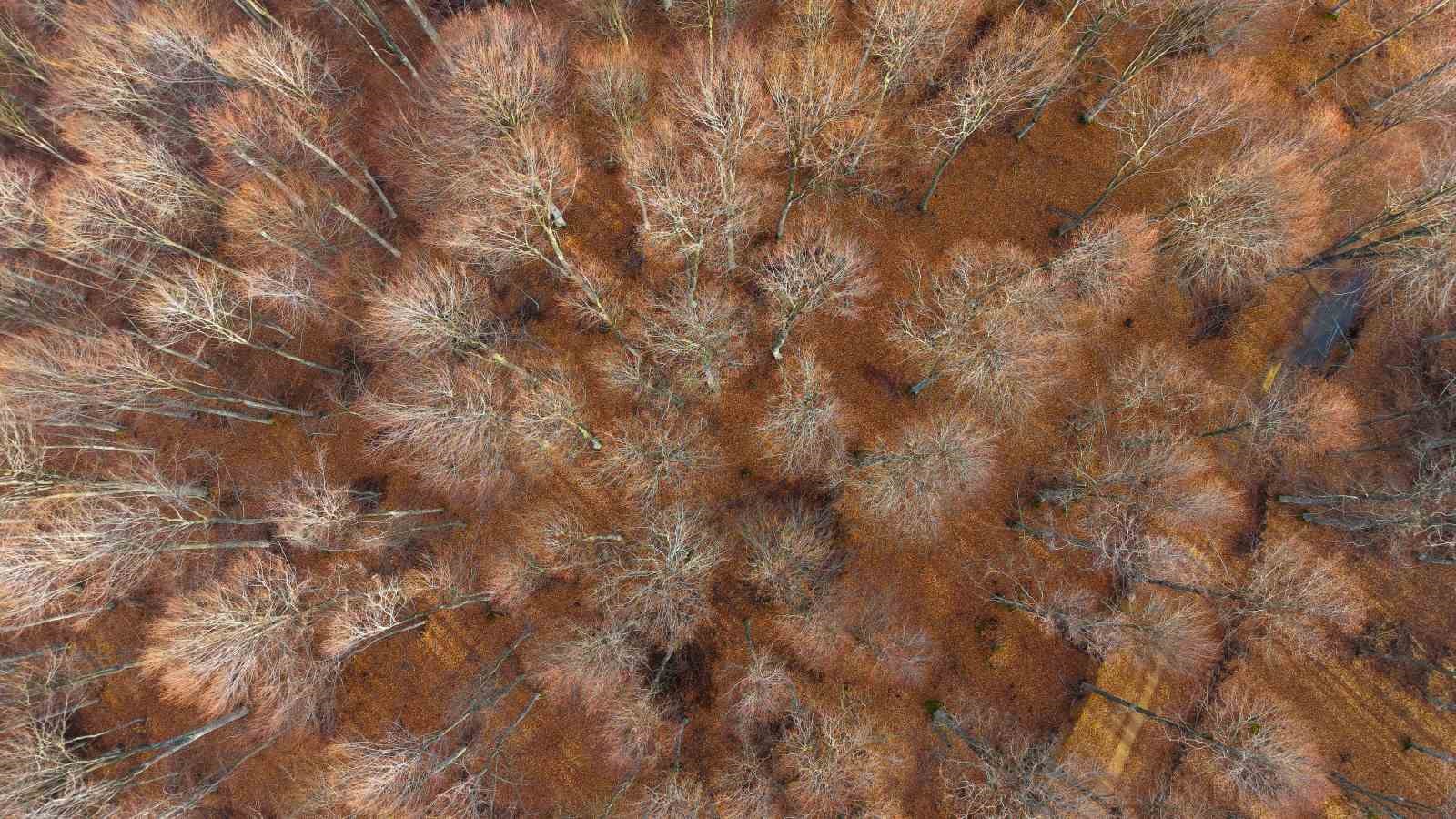 Herkesin "sanayi şehri" olarak bildiği Kocaeli’nin öteki yüzü