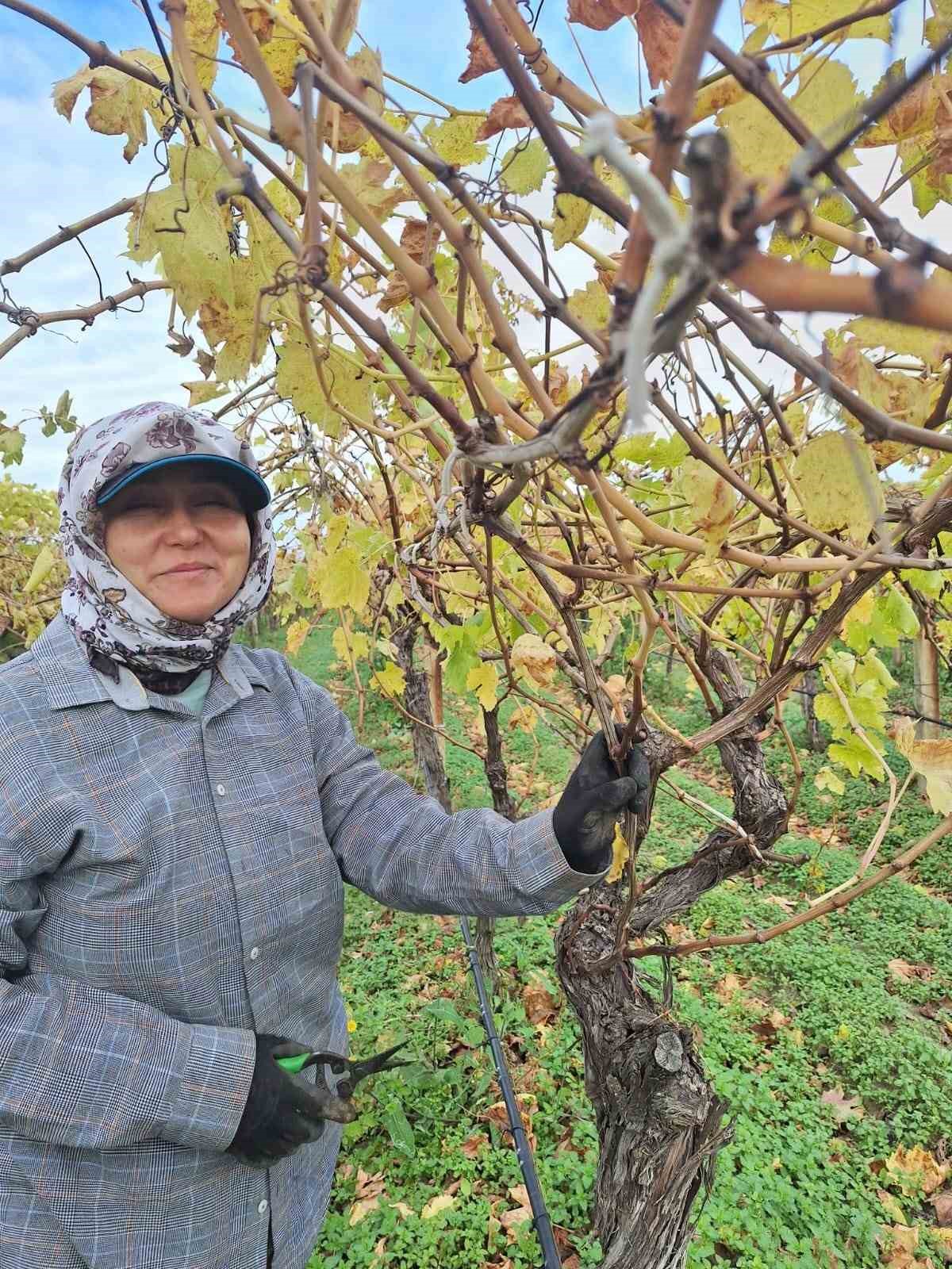 Bağda kalan üzümler ev ekonomisine can suyu oluyor