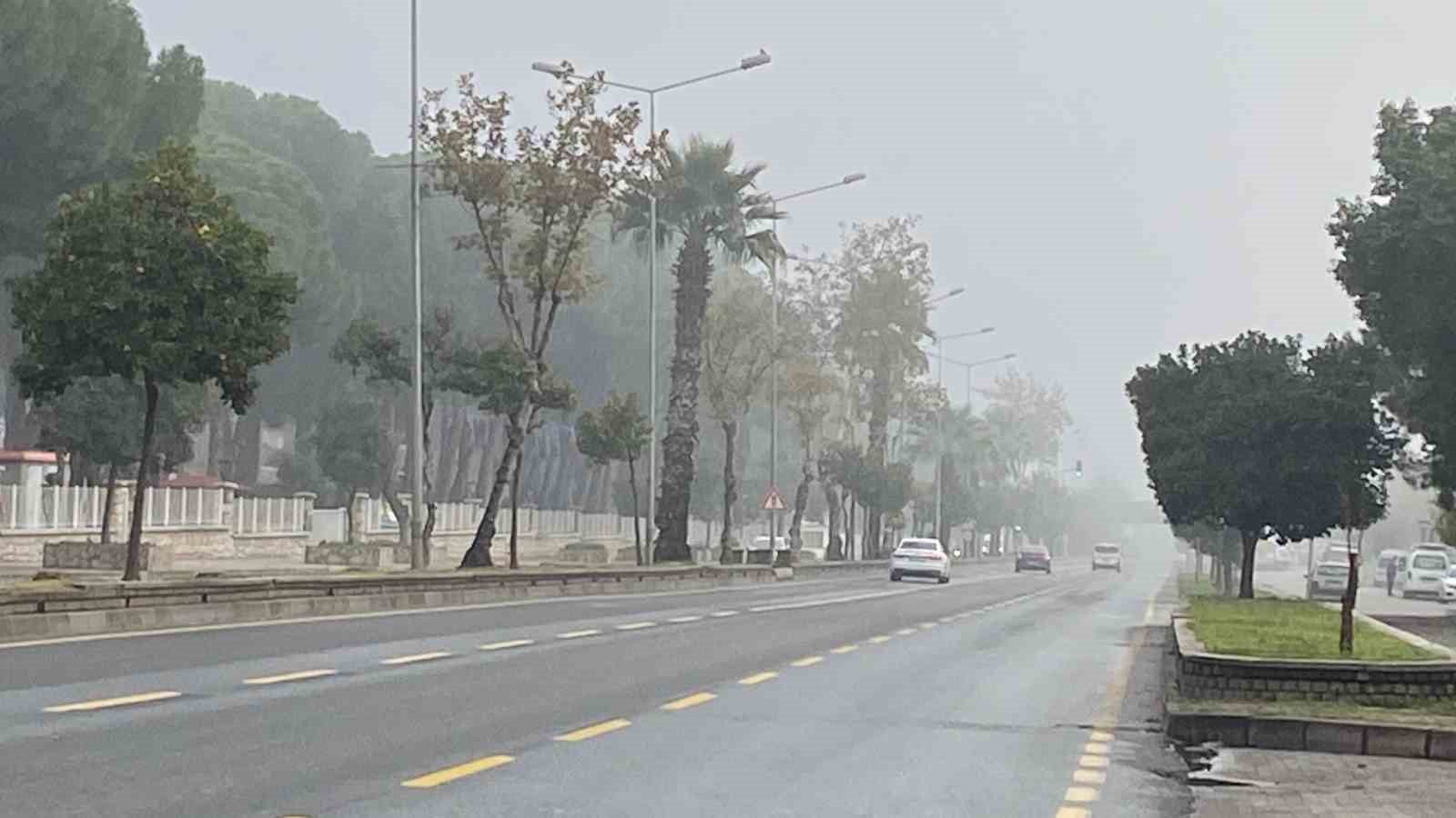 Aydın&rsquo;da puslu sabah manzaraları mest etti
