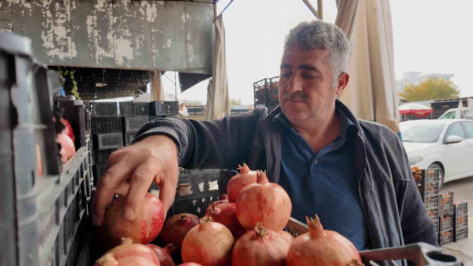 Kuraklık Zivzik narında verimi yarı yarıya düşürdü