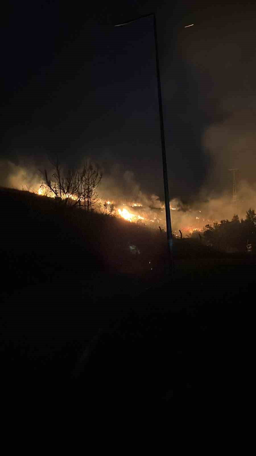 Hatay&rsquo;da &ccedil;ıkan  otluk yangını s&ouml;nd&uuml;r&uuml;ld&uuml;
