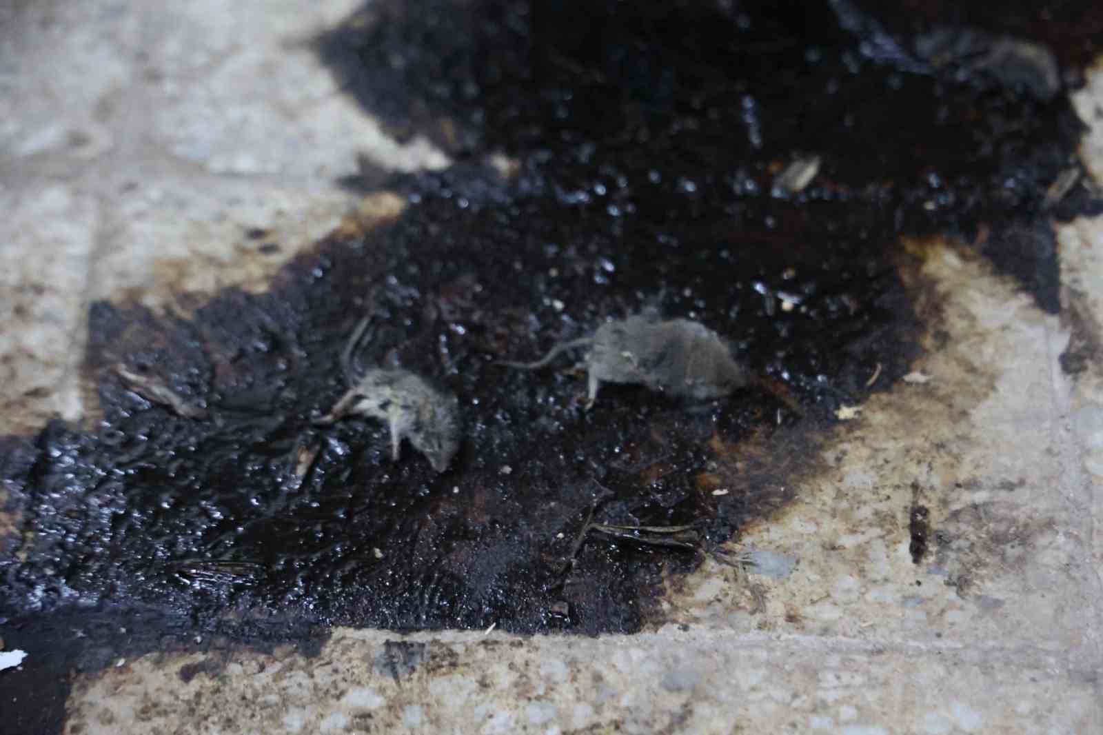 Kilis’te hijyen şartlarına aykırı üretim yapan işletmeye 105 bin TL ceza