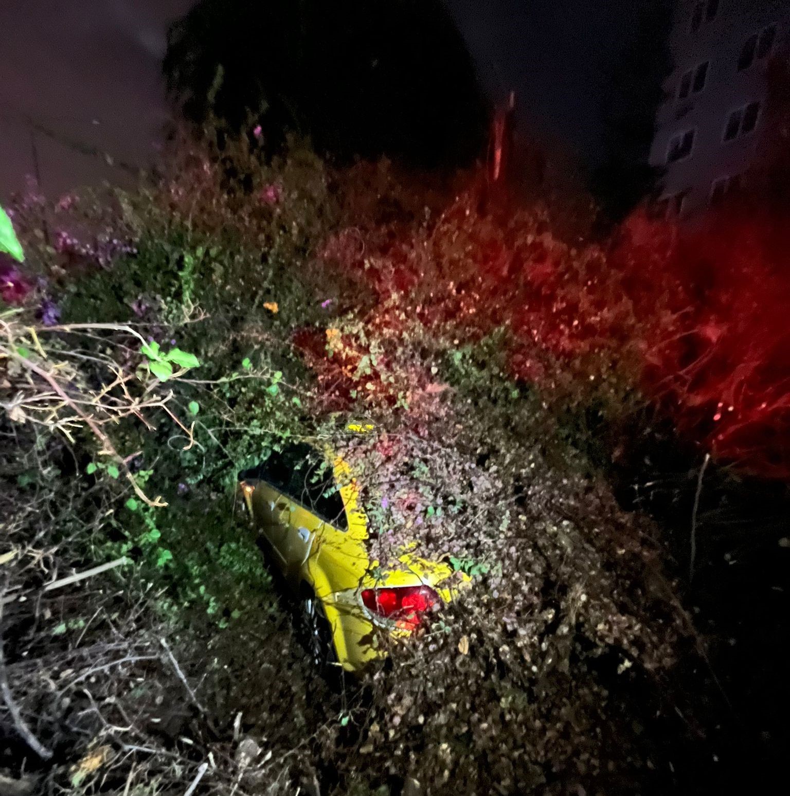 Sürücüsünün içinde olduğu otomobilin üzerine ağaç devrildi