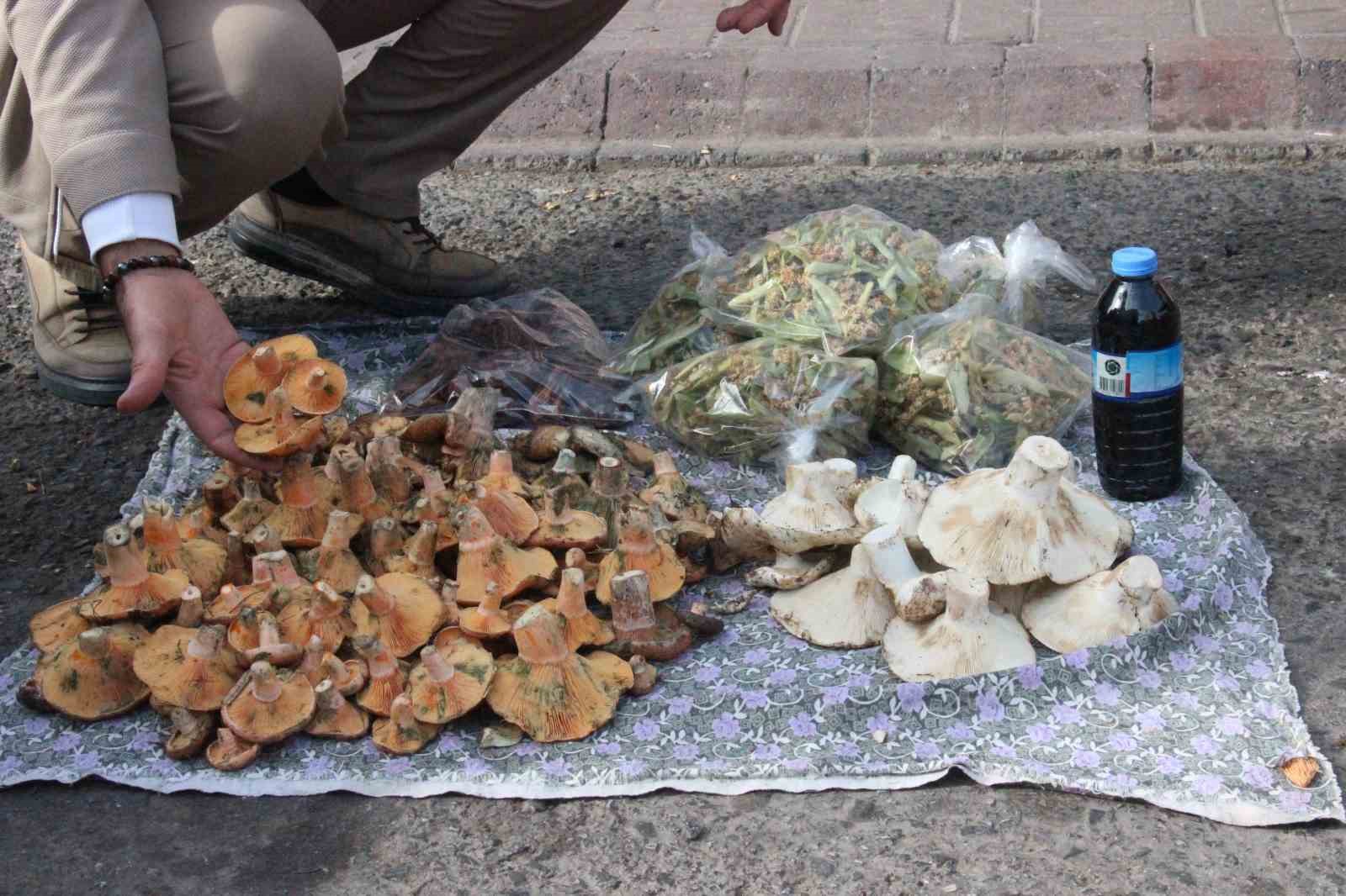 Lezzeti cezbediyor, toplaması dikkat istiyor