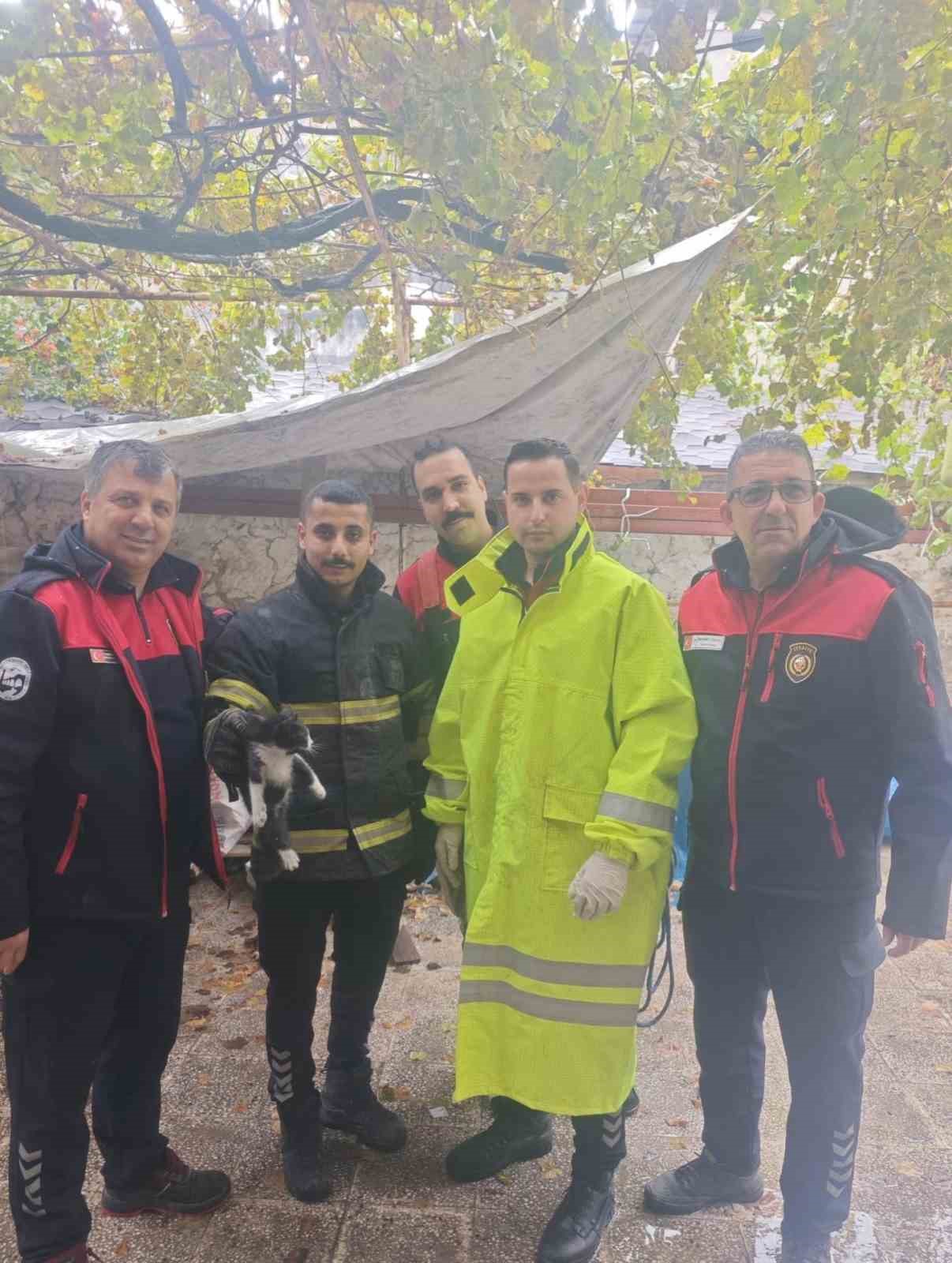 Havalandırma boşluğuna düşen yavru kediyi itfaiye kurtardı
