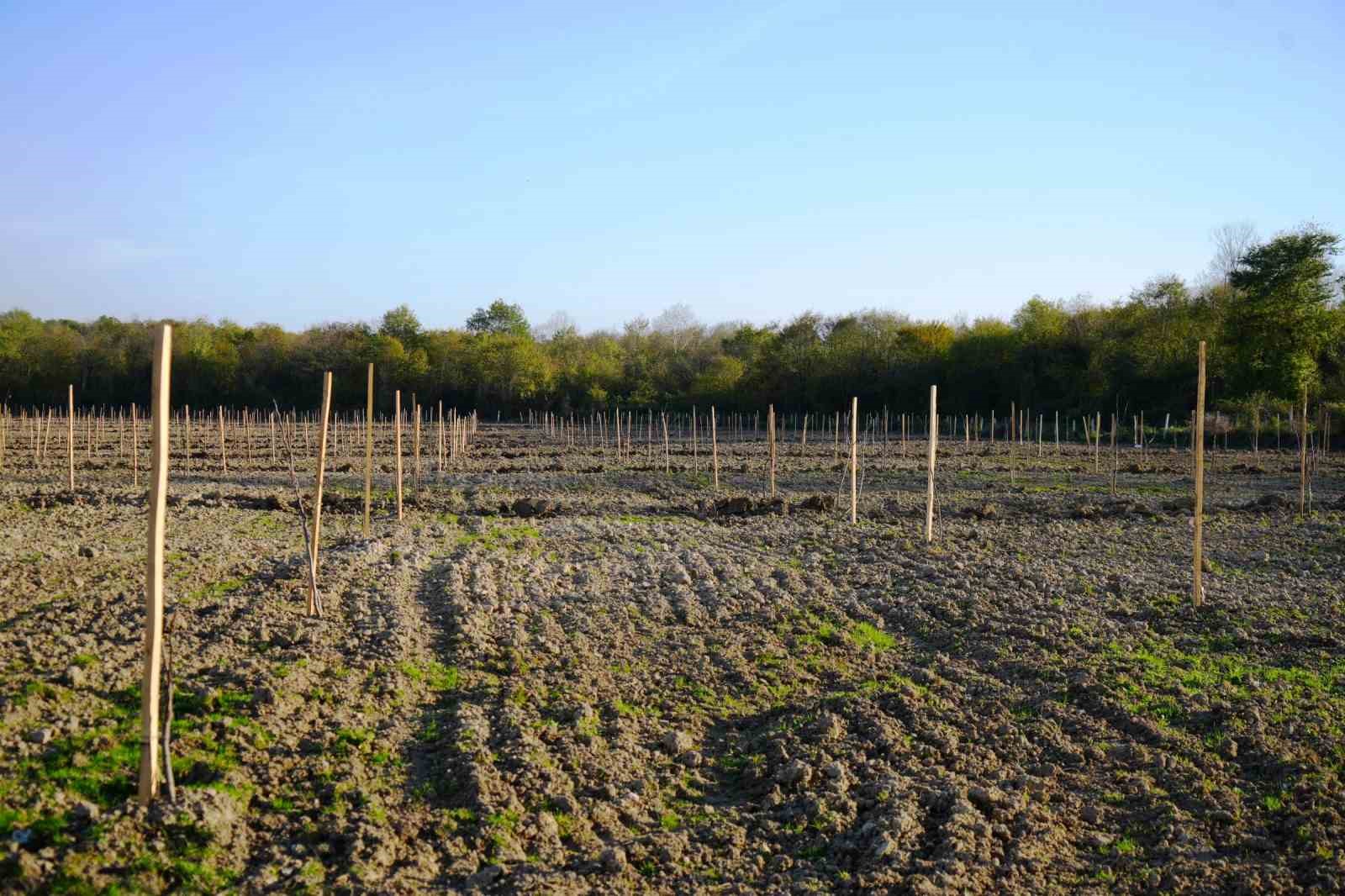 Başkan Candal: "Tasarrufla kaynak üretiyor, sosyal projeleri büyütüyoruz"