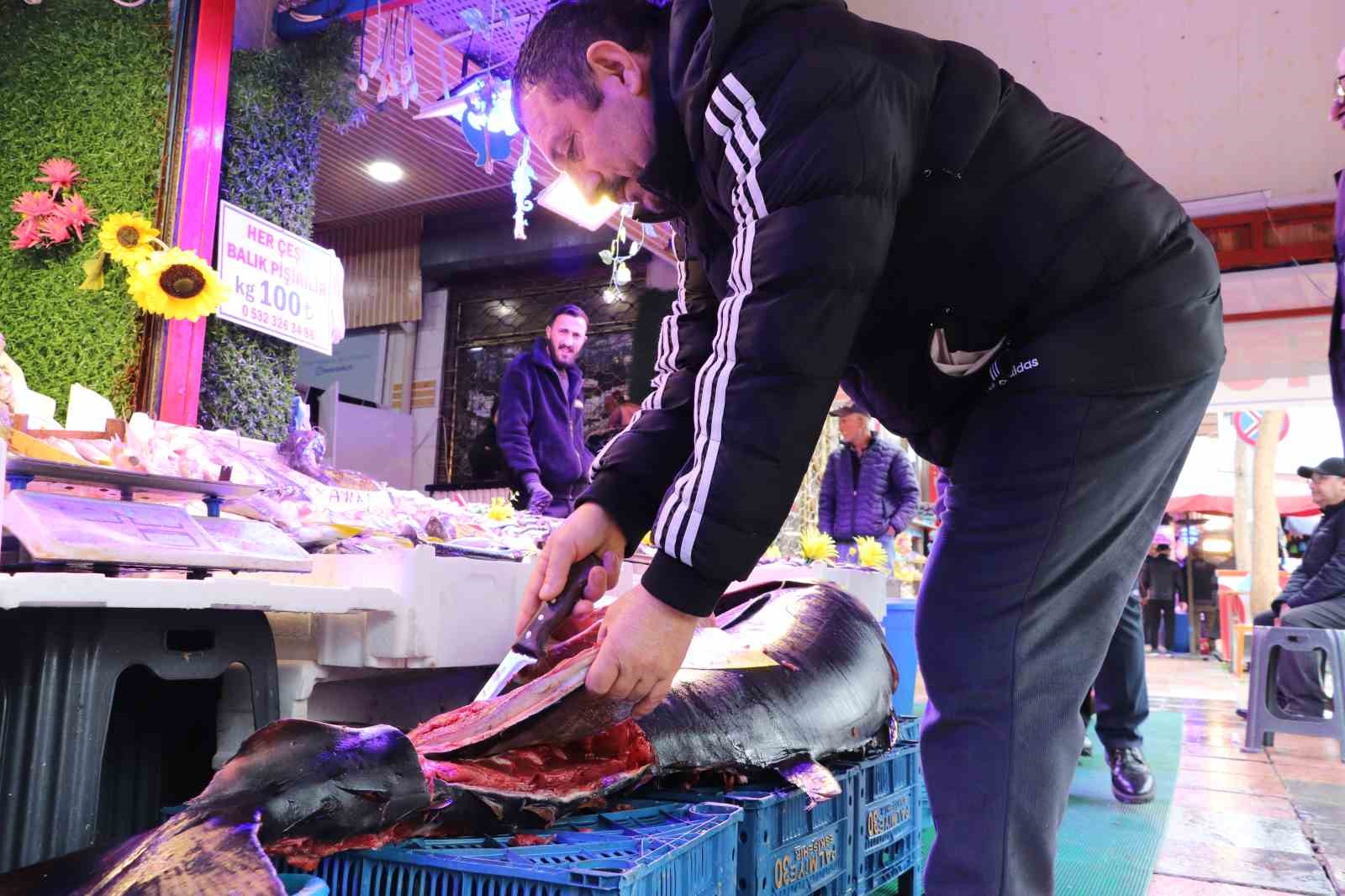 280 kiloluk orkinos vatandaşları hayrete düşürüyor