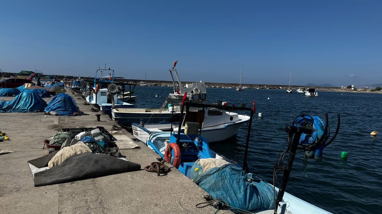 Karadeniz’de palamut hayal kırıklığı yaşattı