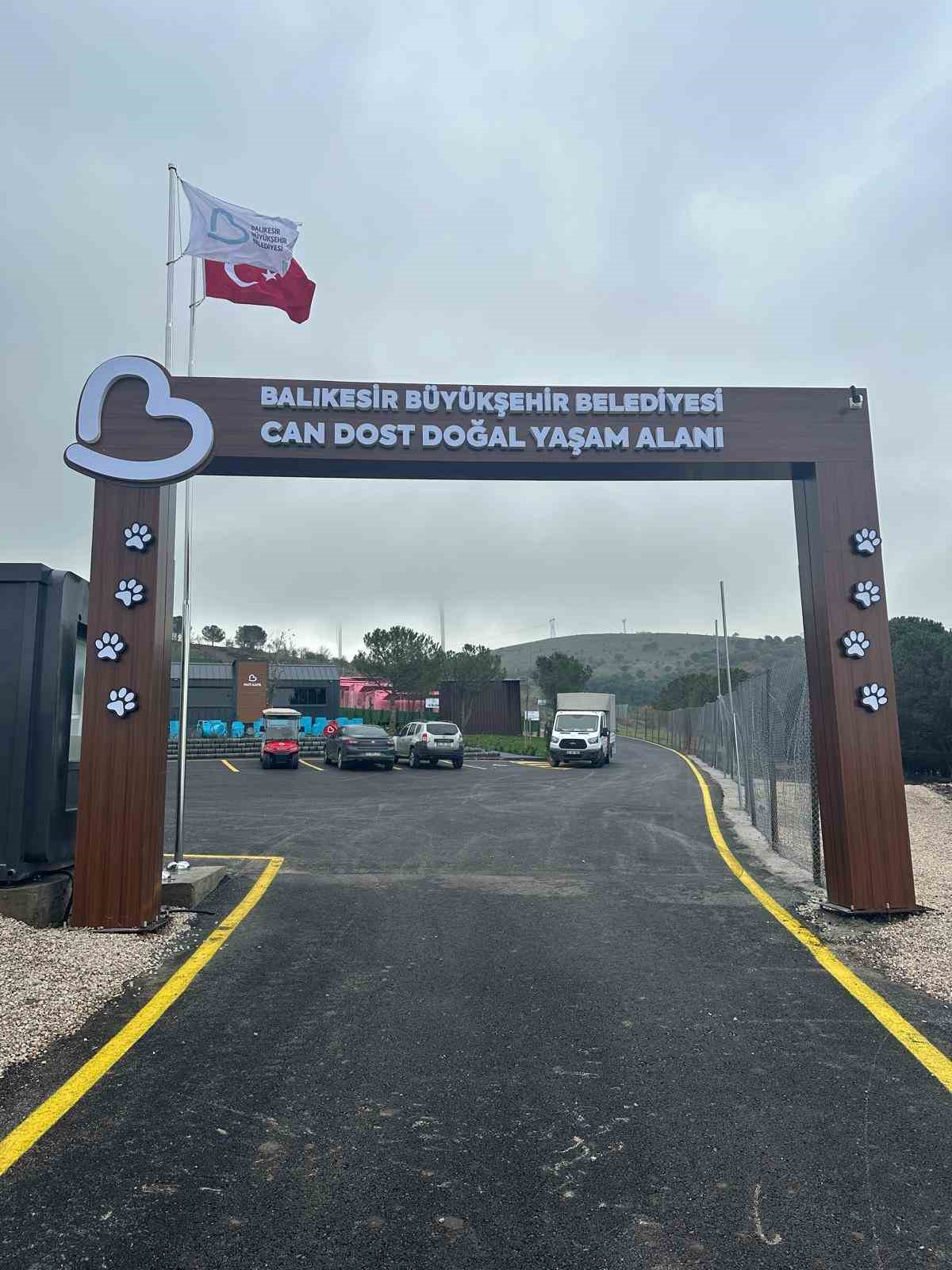 Deprem bölgesinde eskidi, Balıkesir’de can dostlara ev oldu