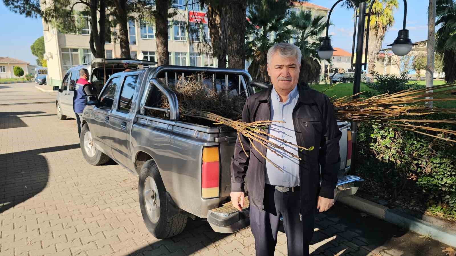 Aydın dağları sağlıklı kestane ağaçlarıyla donatılıyor
