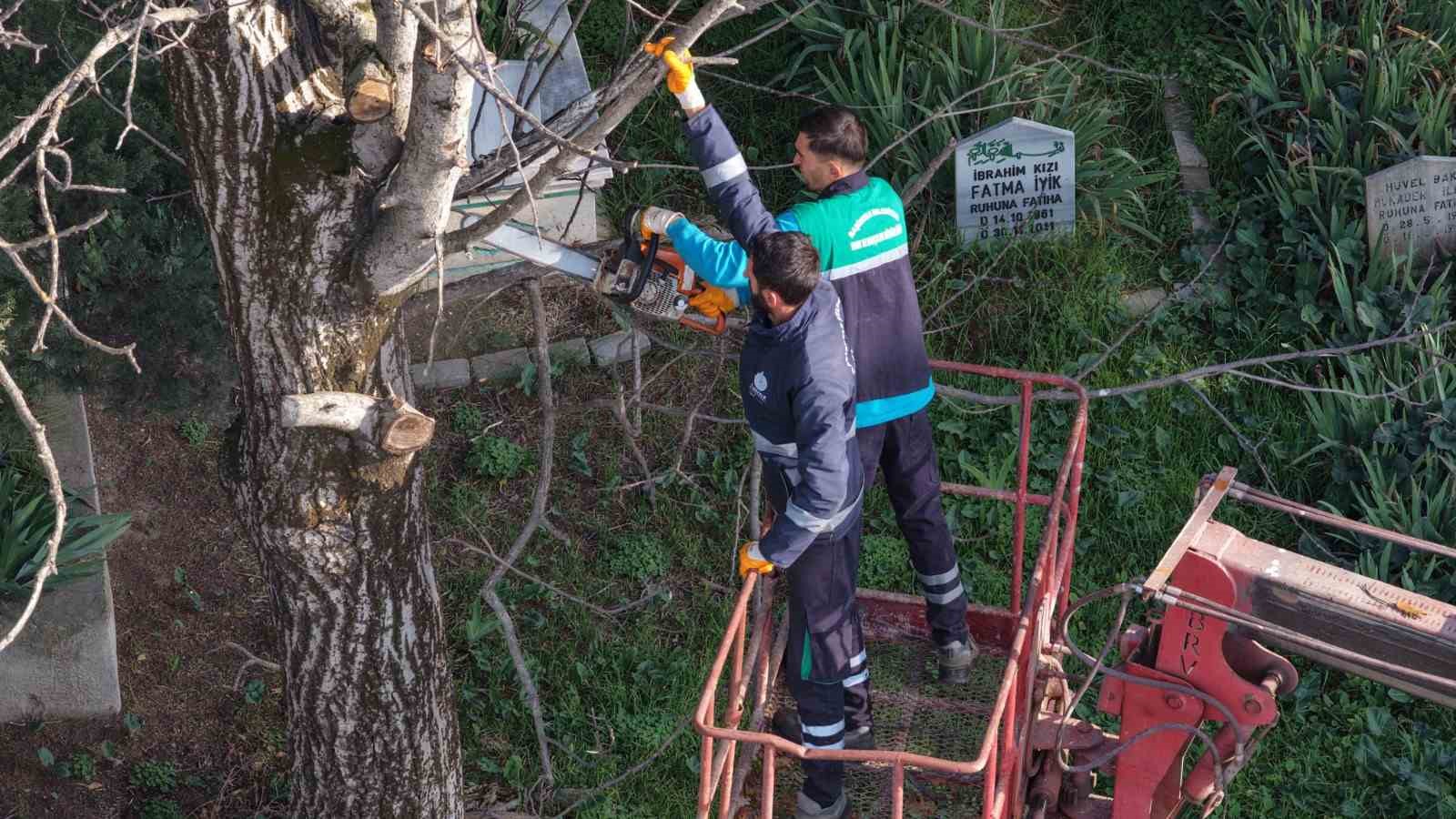 Başiskele’de budanan ağaç dalları ihtiyaç sahiplerine yakacak oluyor