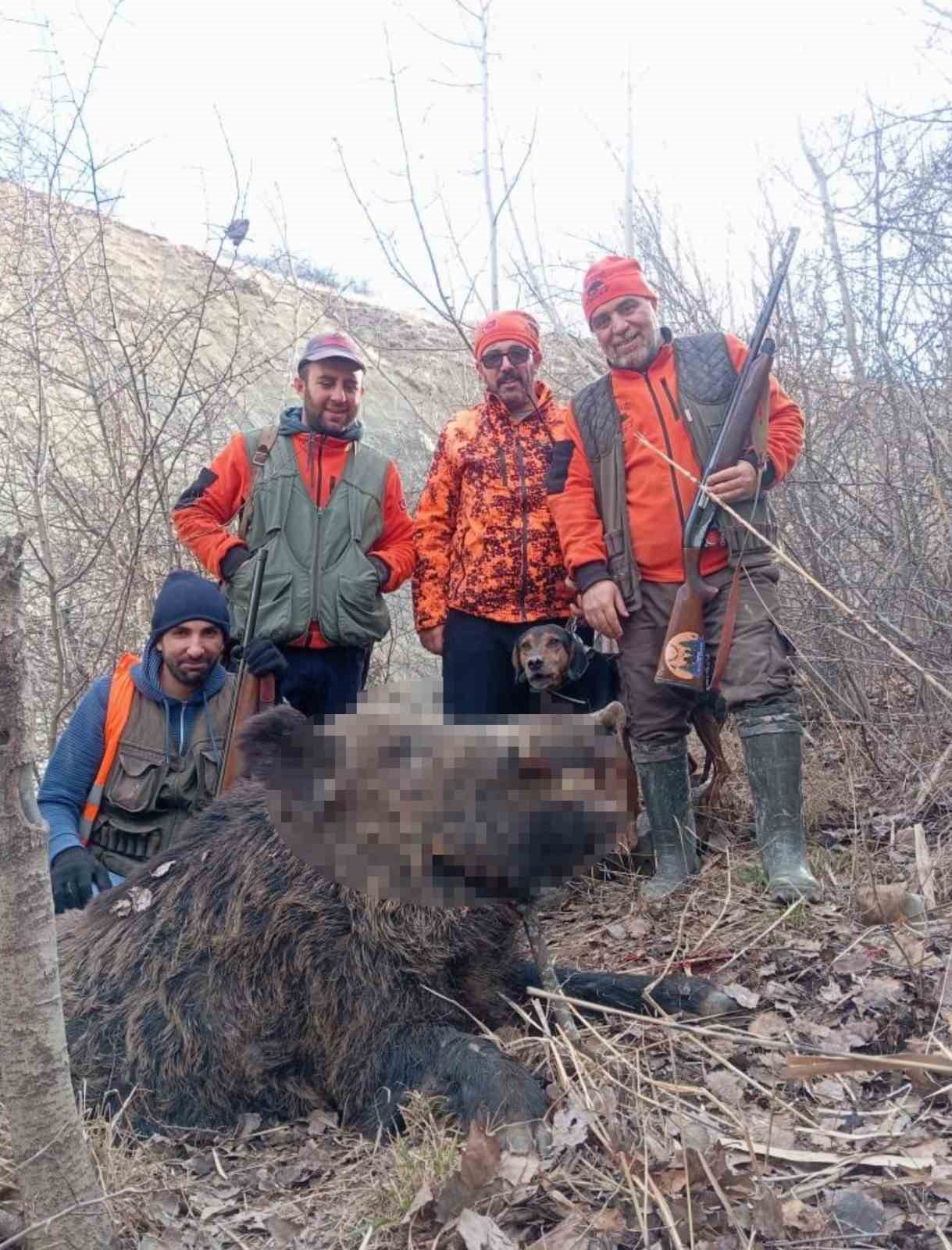 Elazığ&rsquo;da avcılar s&uuml;r&uuml; halinde domuz avladı
