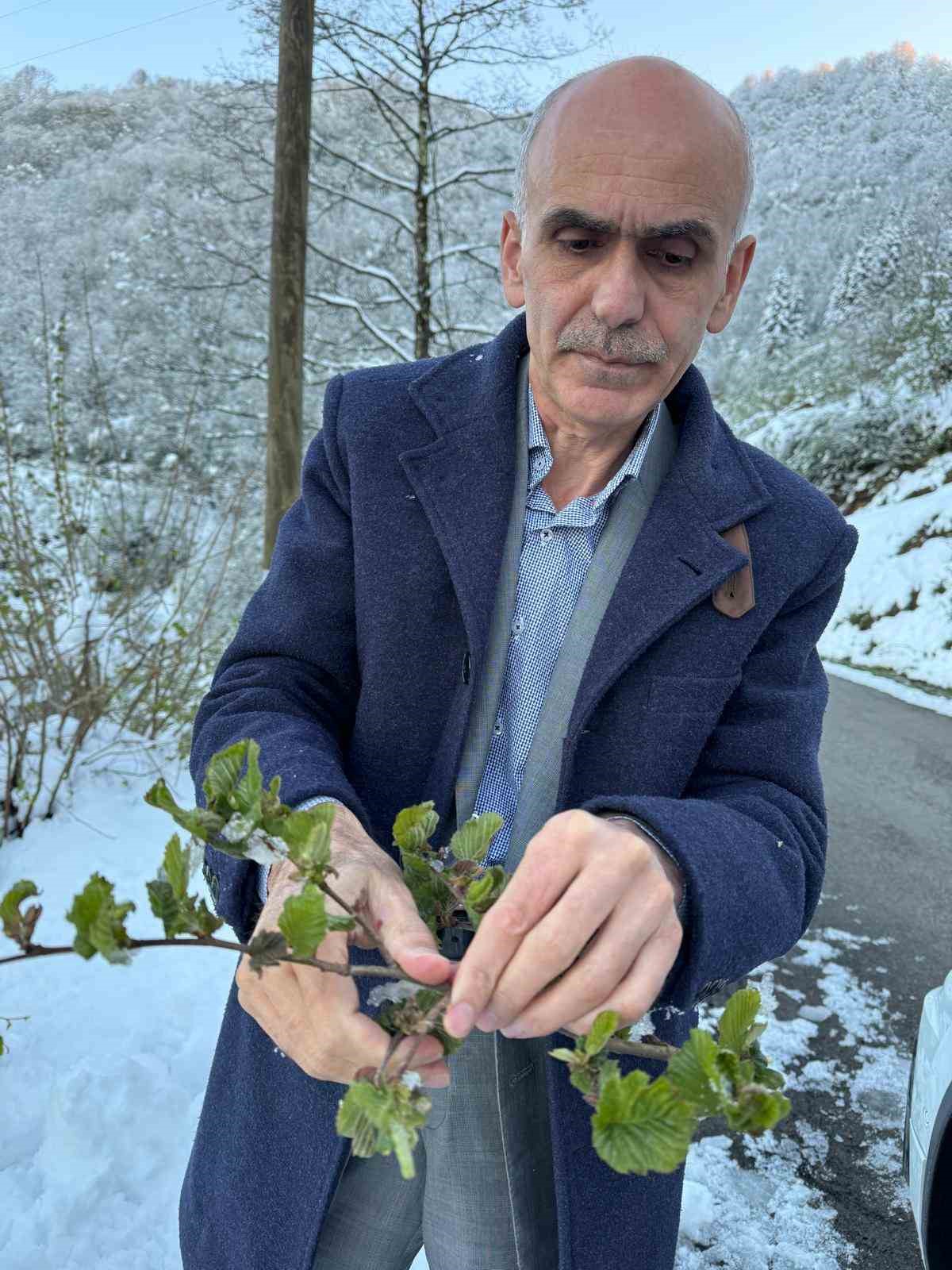 Giresun Ziraat Odası&rsquo;ndan fındıkta 2026 i&ccedil;in risk uyarısı
