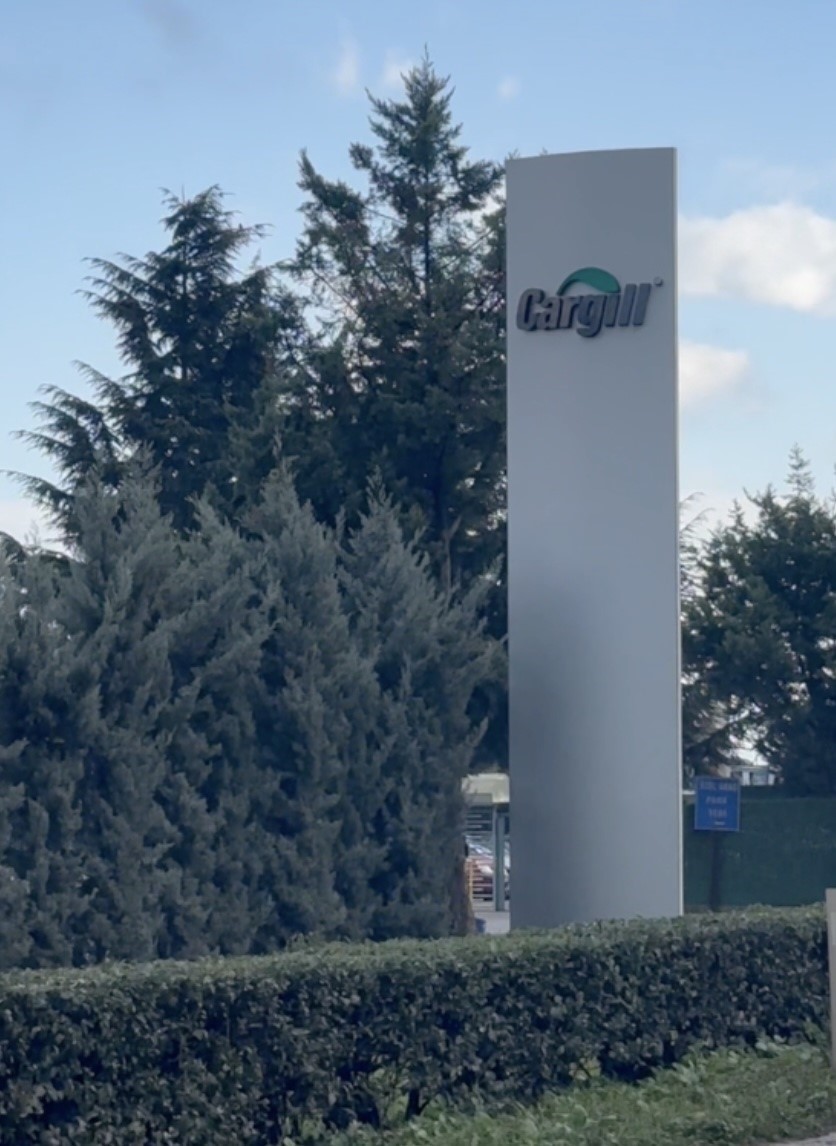 İznik Gölü kuruyor: Cargill’in yer altı sularından yılda 1 milyon metreküpten fazla su çektiği ileri sürülüyor