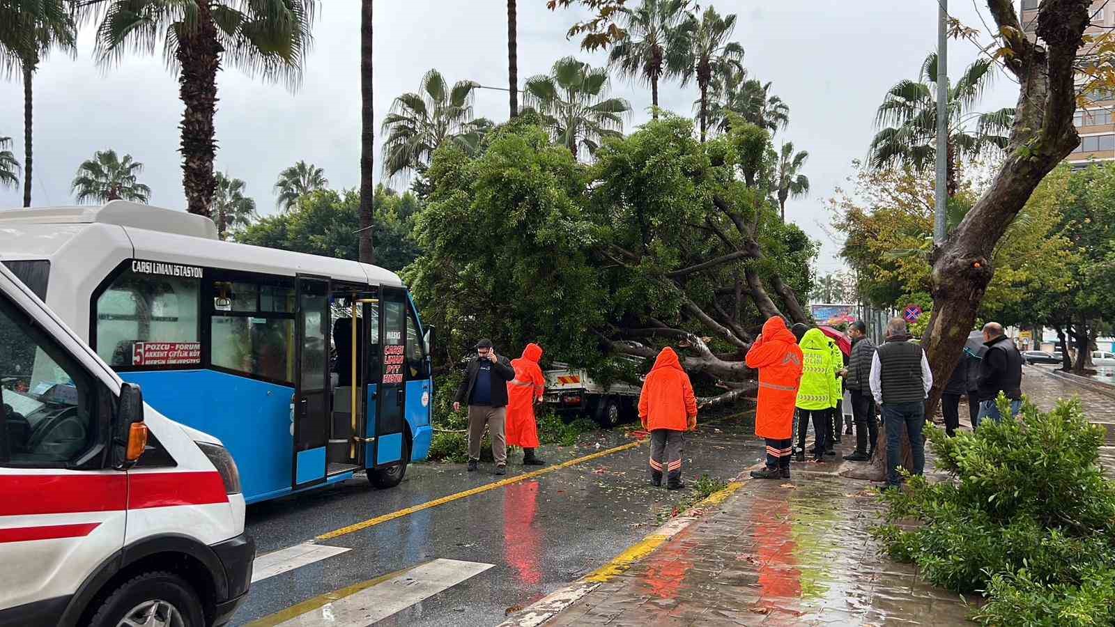Mersin’de devrilen ağaç, seyir halindeki 3 araca zarar verdi
