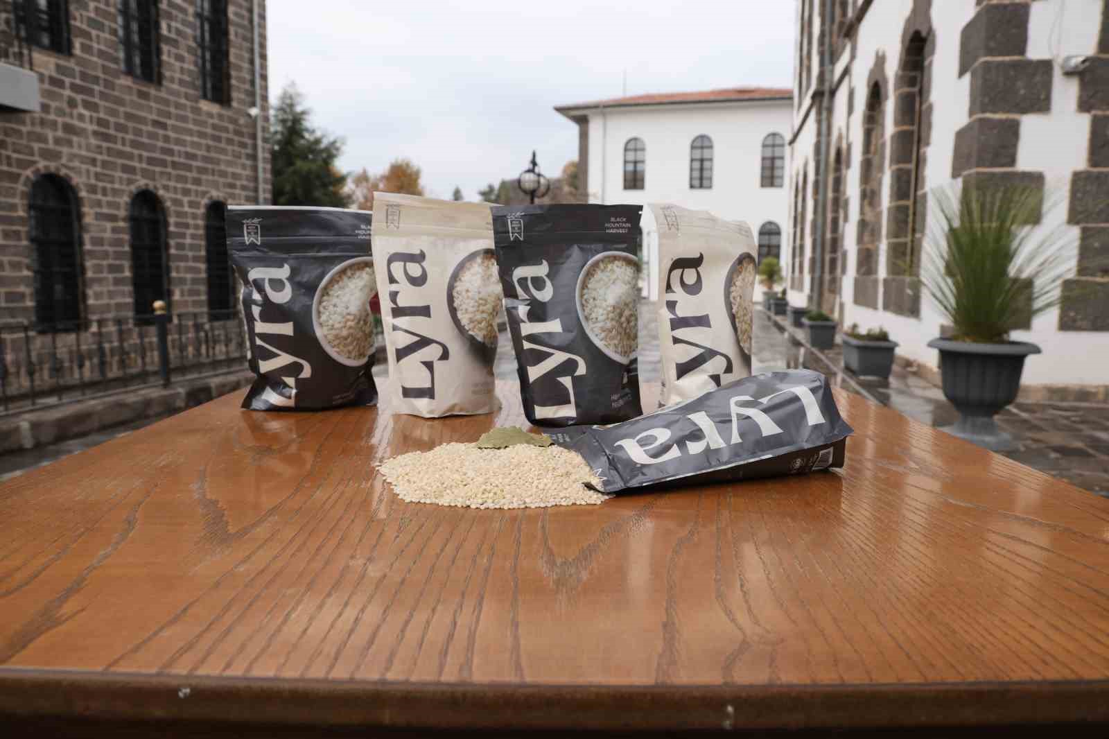 Volkanik arazide yetiştirilen Karacadağ pirinci zengin mineral oranıyla dikkat çekiyor