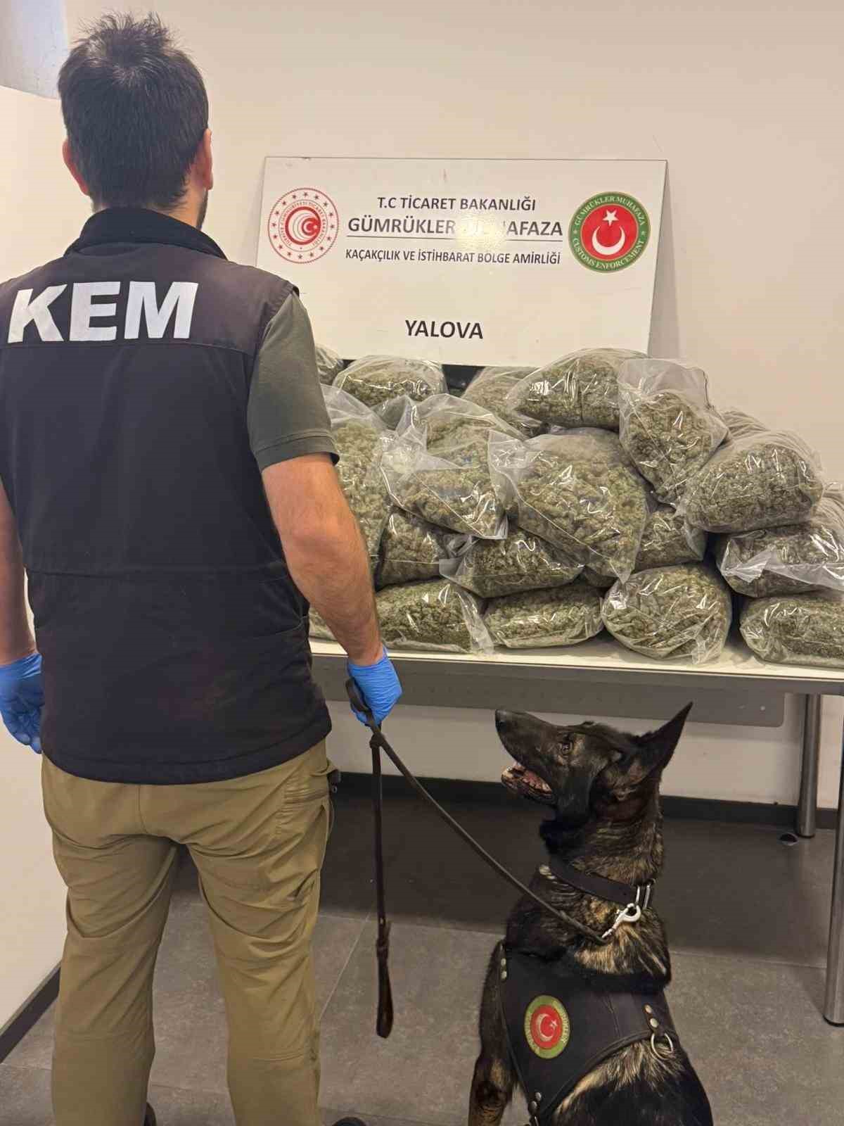 Fransa’dan Yalova’ya gemiyle gelen tırda 37 kilo uyuşturucu ele geçirildi