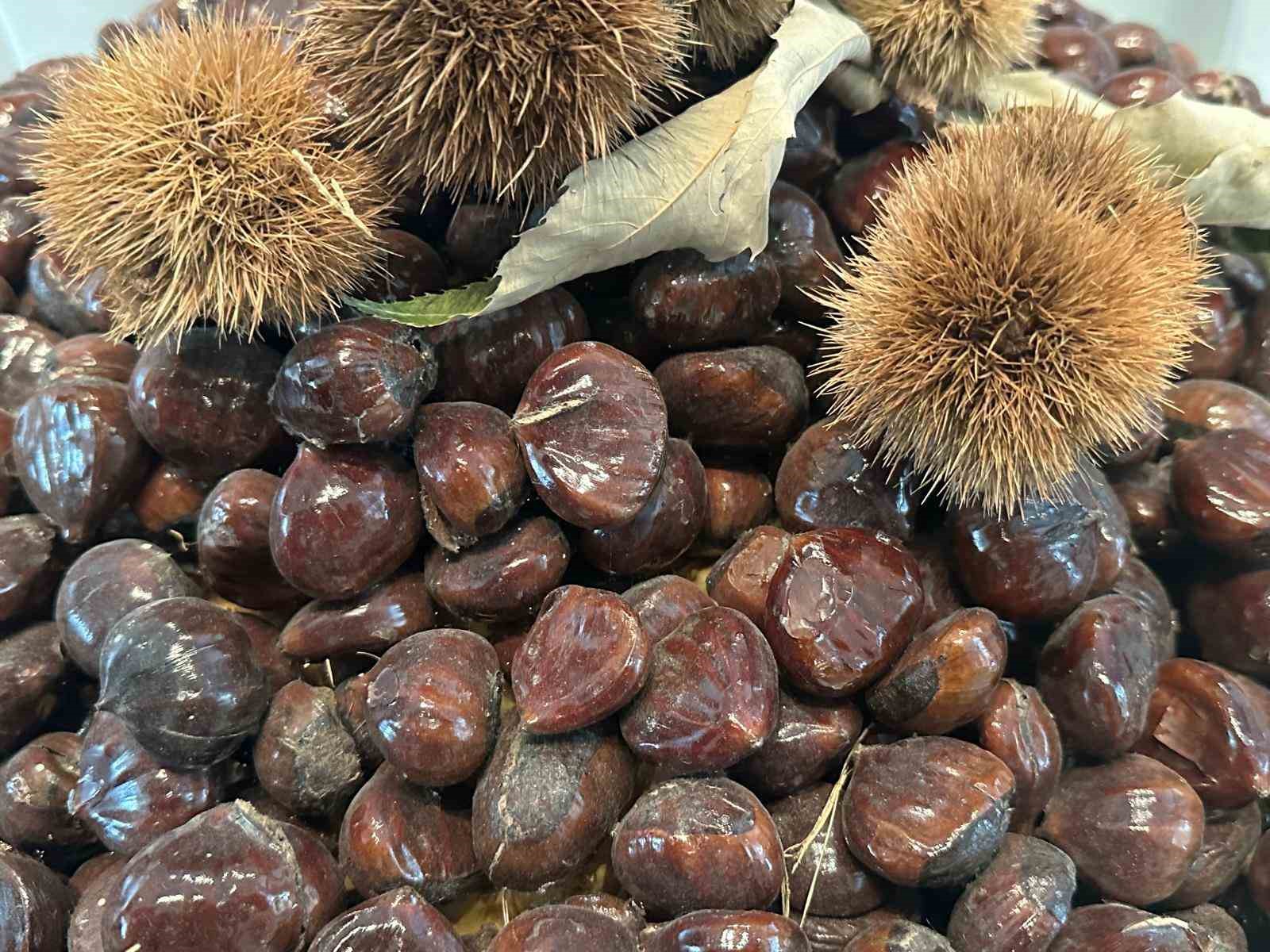 Bursa kestanesinin geleceği konuşuldu