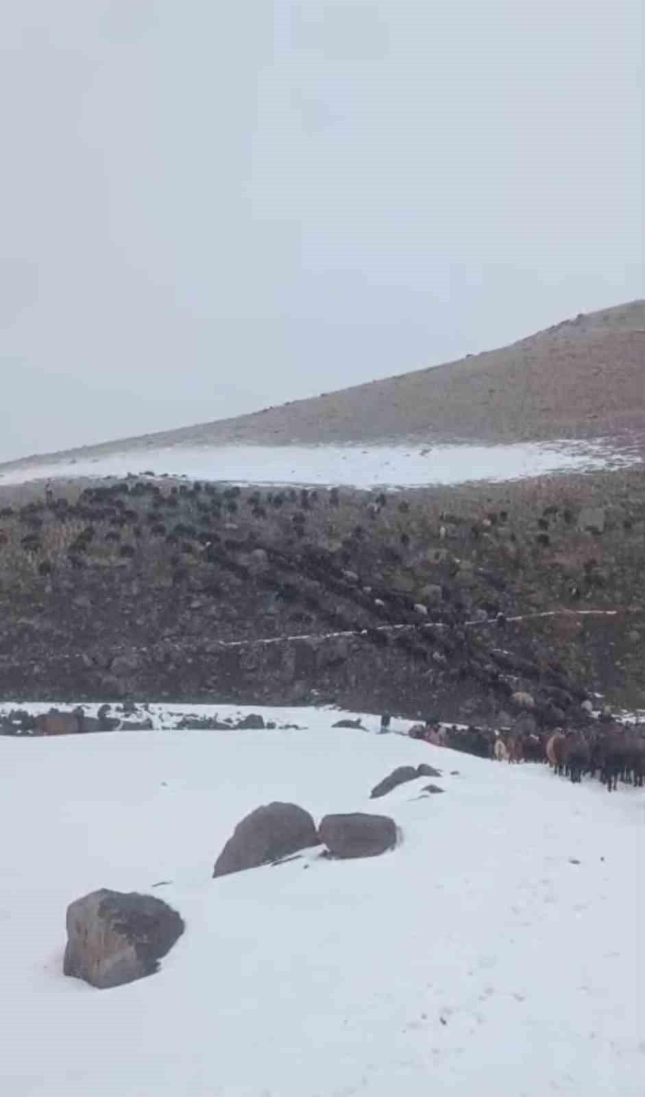 Ağrı’da kar ve tipi hayatı durdurdu