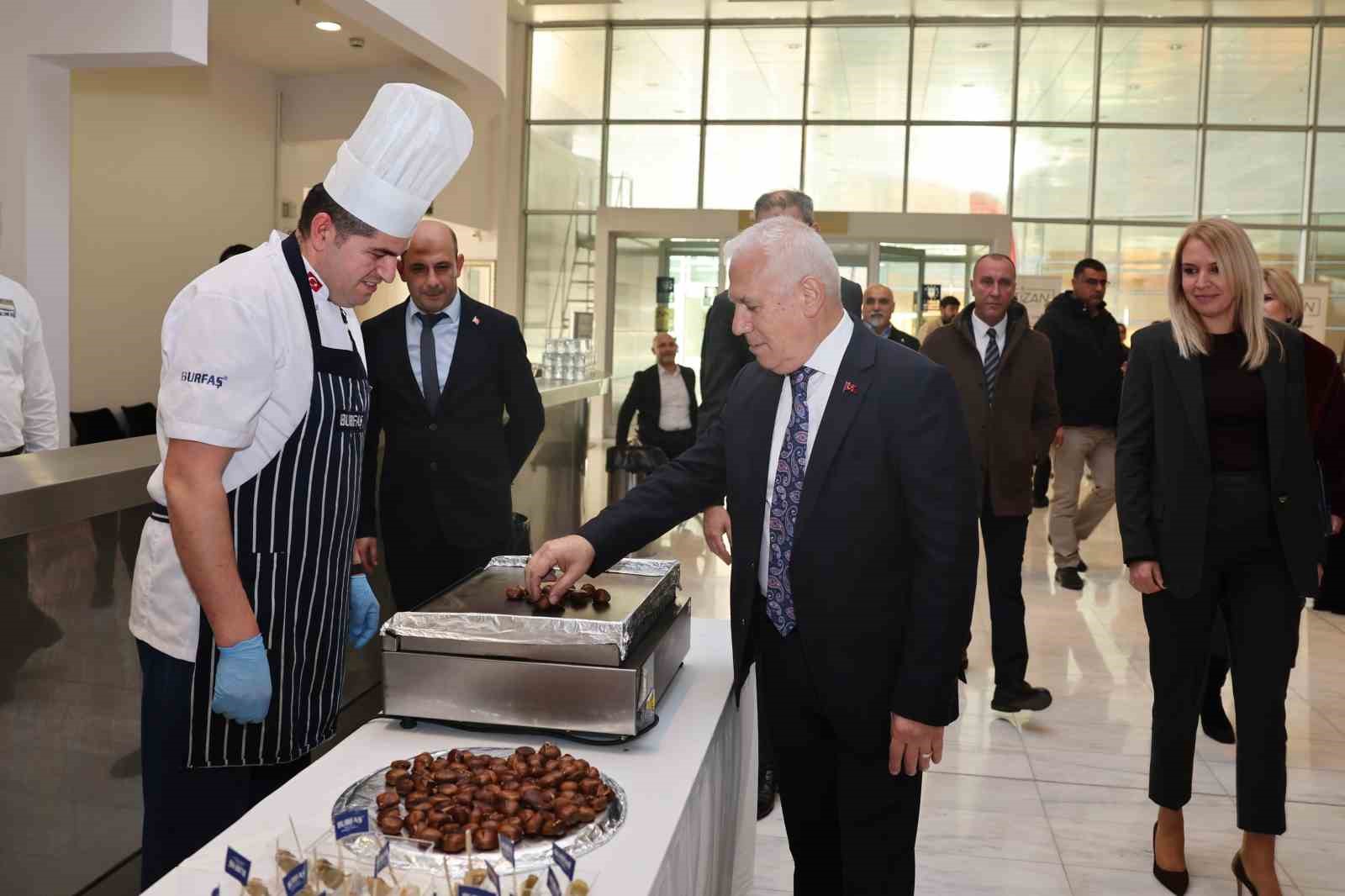 Kestane Büyükşehir’le filizleniyor