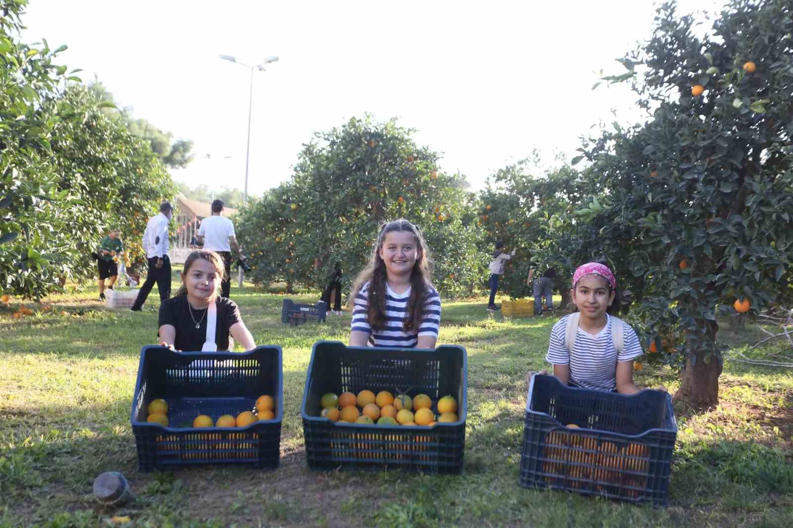 Dokumapark’tan toplanan portakallar vatandaşlarla paylaşıldı
