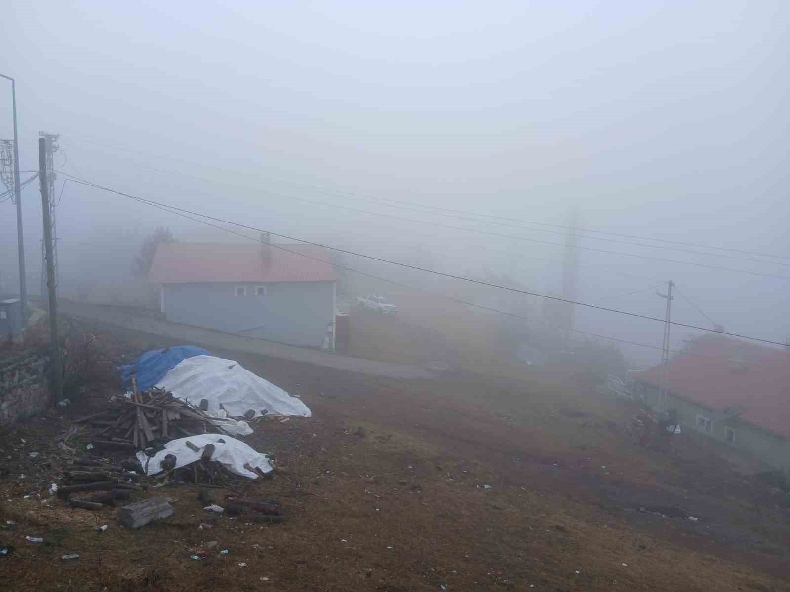 Posof’ta yoğun sis etkiliyor oluyor