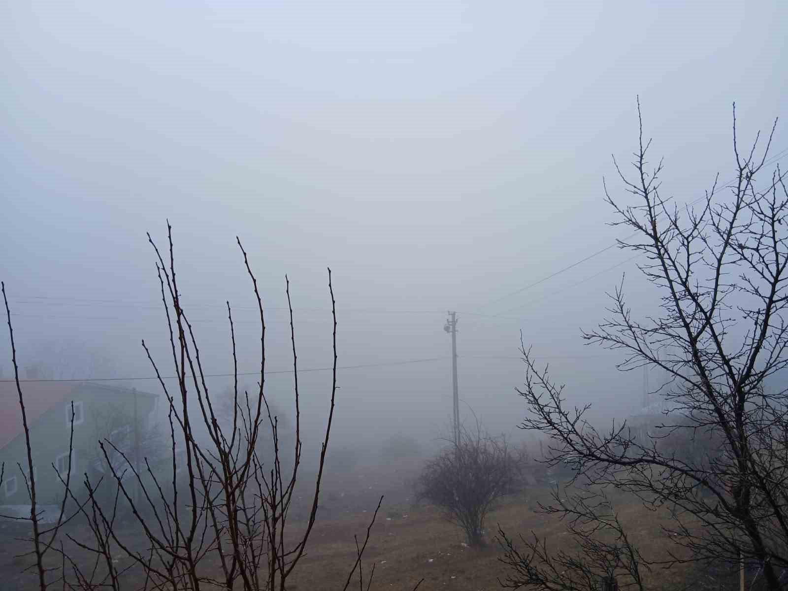 Posof’ta yoğun sis etkiliyor oluyor