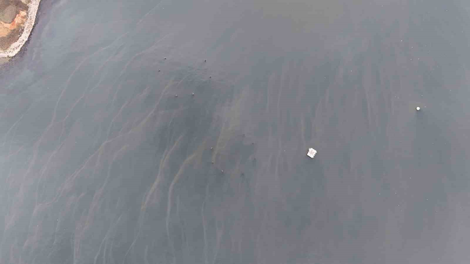 İSKİ’ye 3 milyon lira ceza kesilmişti, Marmara Denizi’ne lağım akıtmaya devam ediyor