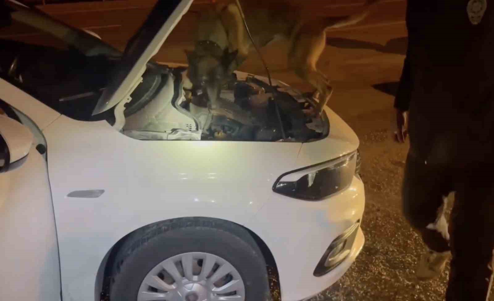 Kastamonu’da uyuşturucu operasyonu: 5 tutuklama