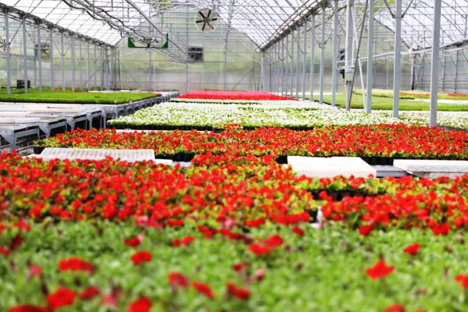 Samsun Büyükşehir, enerjisini güneşten karşılıyor
