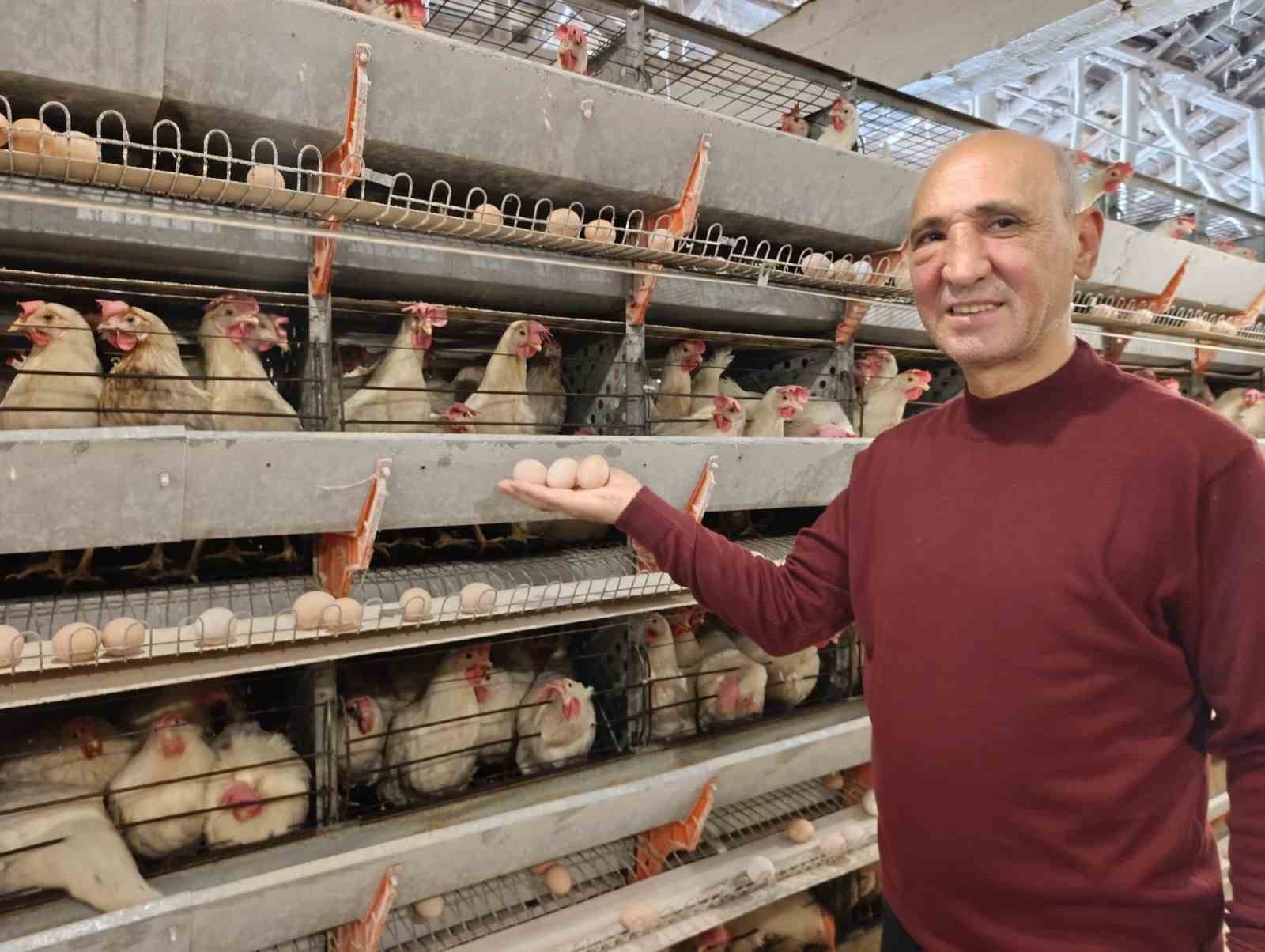 Simav’ın Kuşu beldesinde günlük 15 bin yumurta üretimi