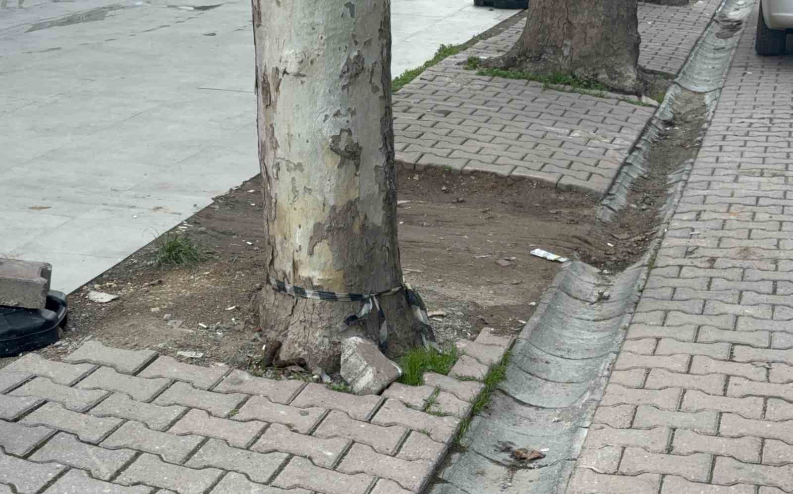 Çöpe atmak için yerden aldığı kargo poşetinin içinden 60 bin dolar çıktı