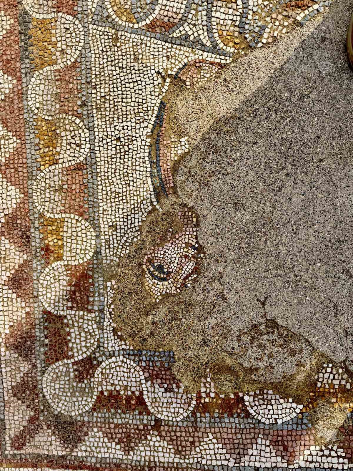 Hadrianopolis&rsquo;te saray kompleksi ortaya &ccedil;ıktı: 4. y&uuml;zyıla ait eşsiz mozaikler bulundu
