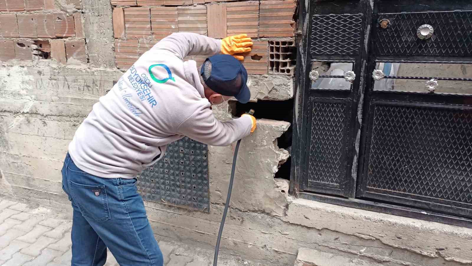 Ordu’da haşerelere karşı kışlak çalışması başlatıldı