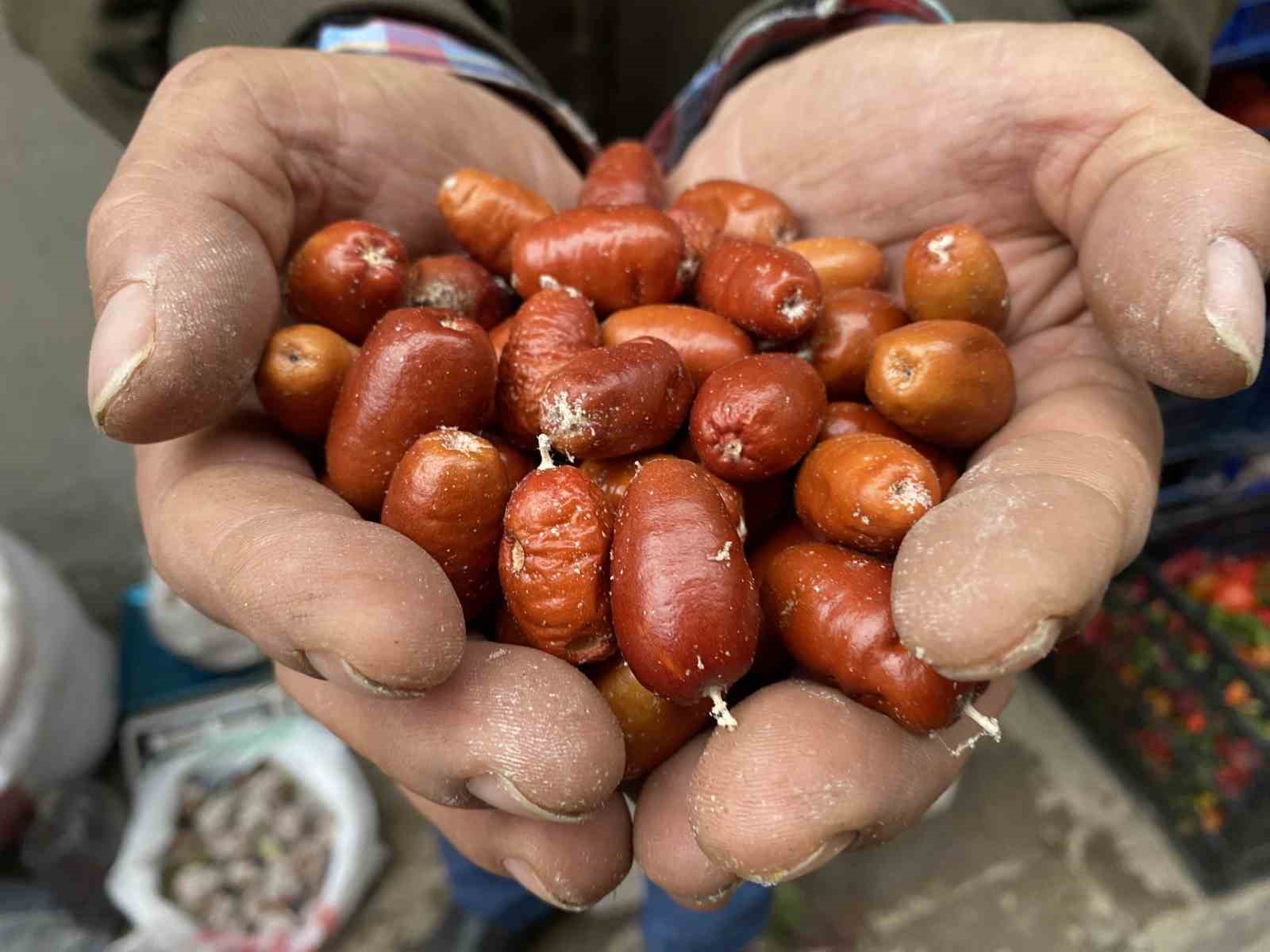Alaşehir’de iğde ağaçlarının sayısı her geçen gün azalıyor