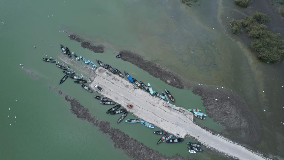 Karacabey’de çeltik ekimi yasaklandı