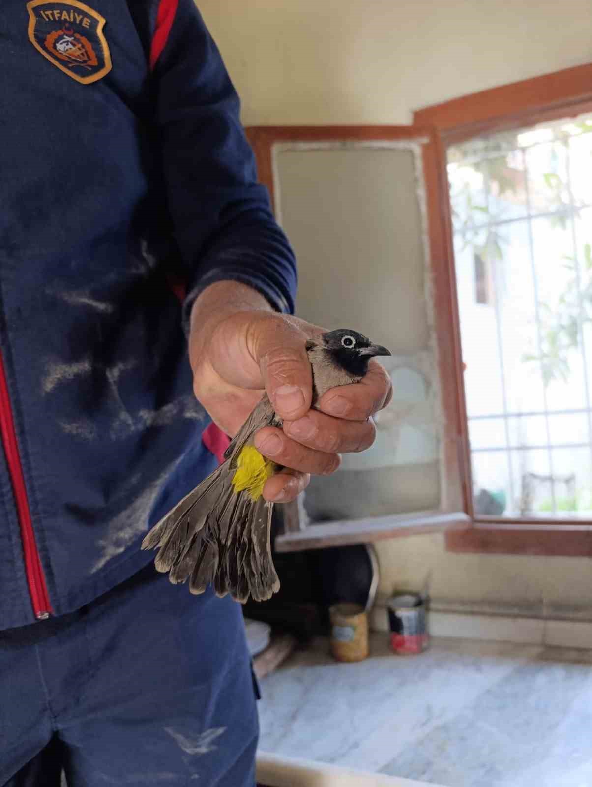 Arsuz&rsquo;da kuş kurtarma operasyonu
