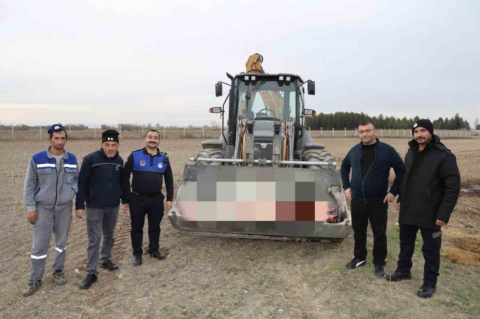 Çifteler’de 215 kilogram kaçak at eti ele geçirildi